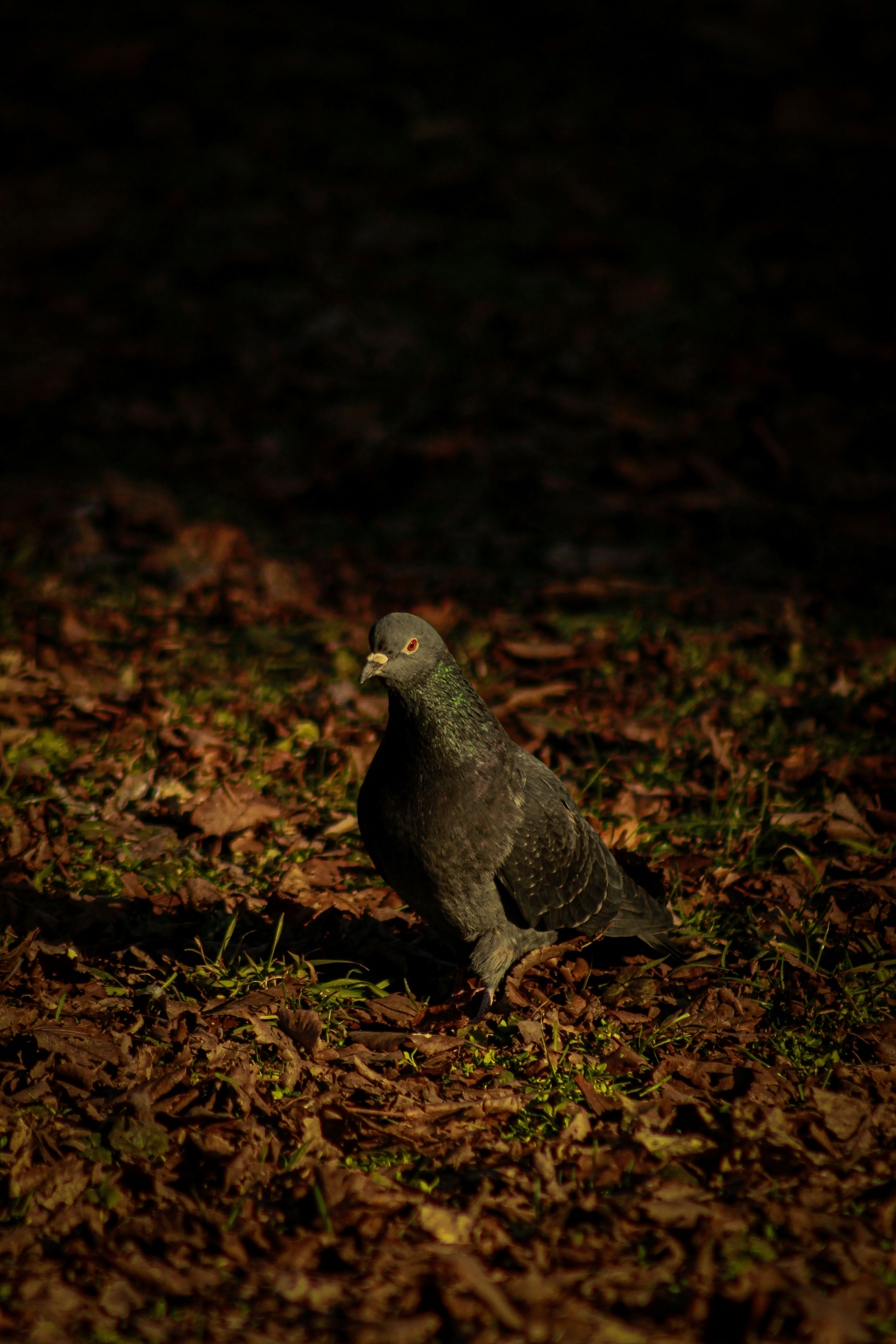 Photo by michael_kater