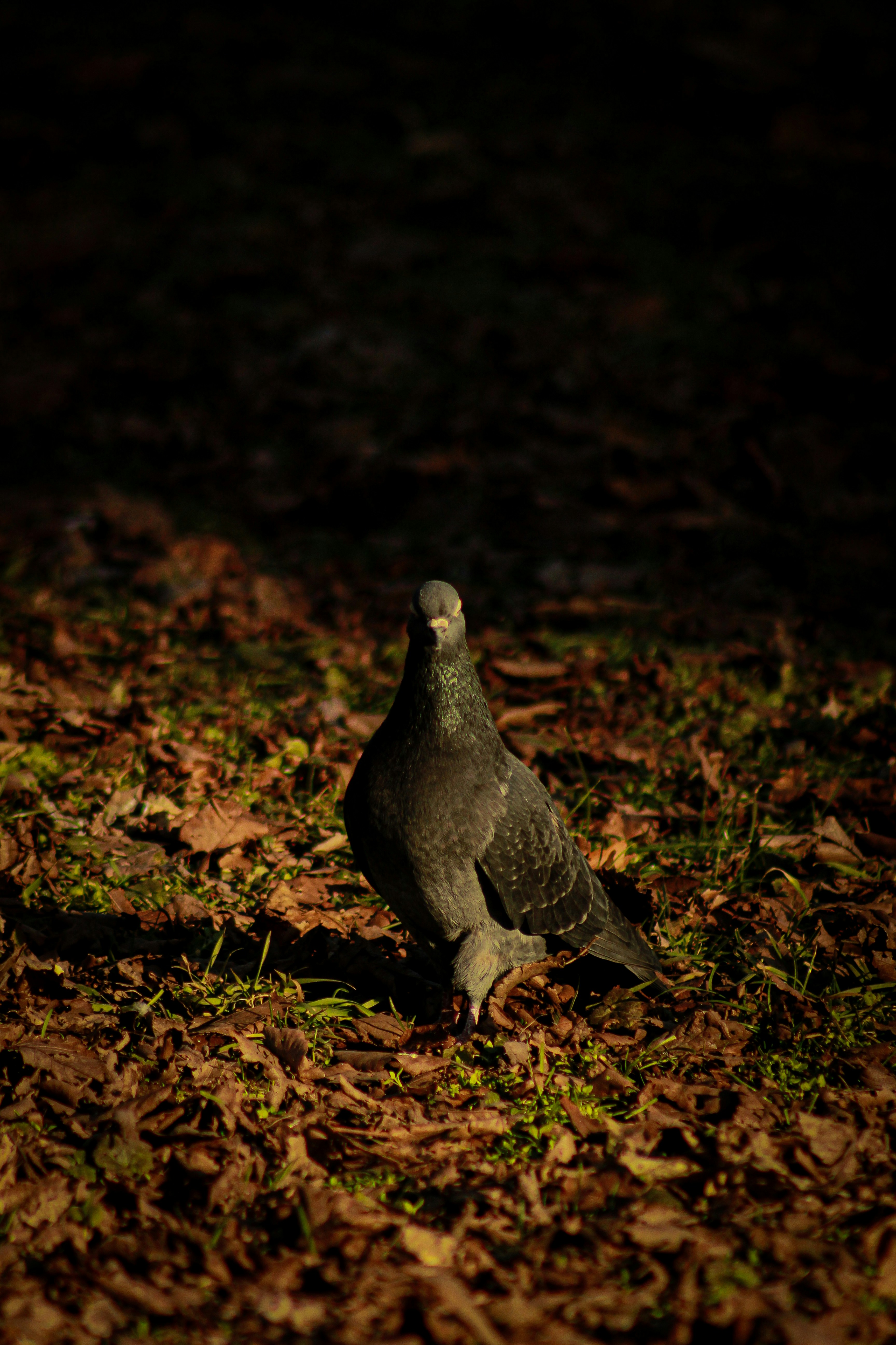 Photo by michael_kater