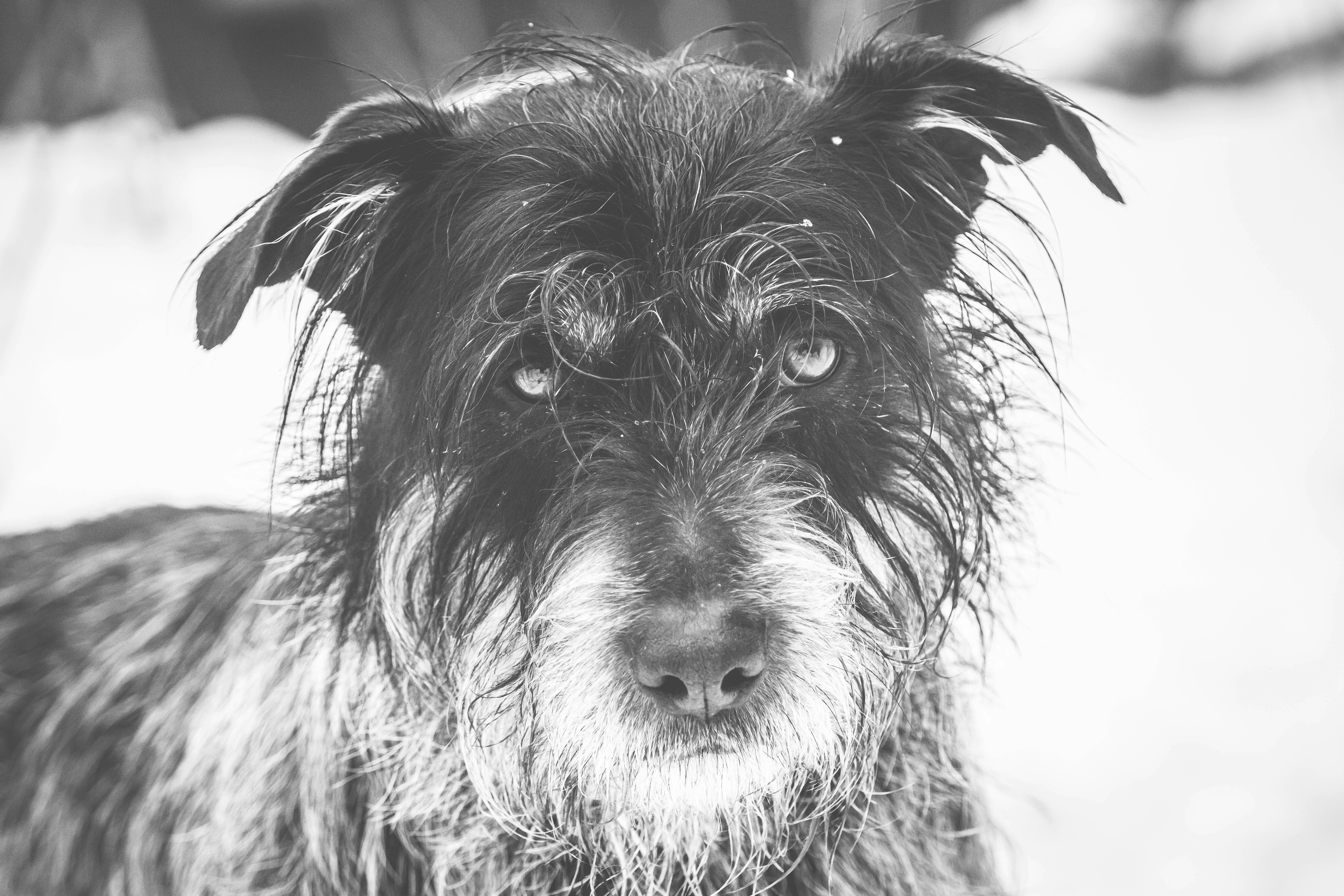 Photo by worldsbetweenlines