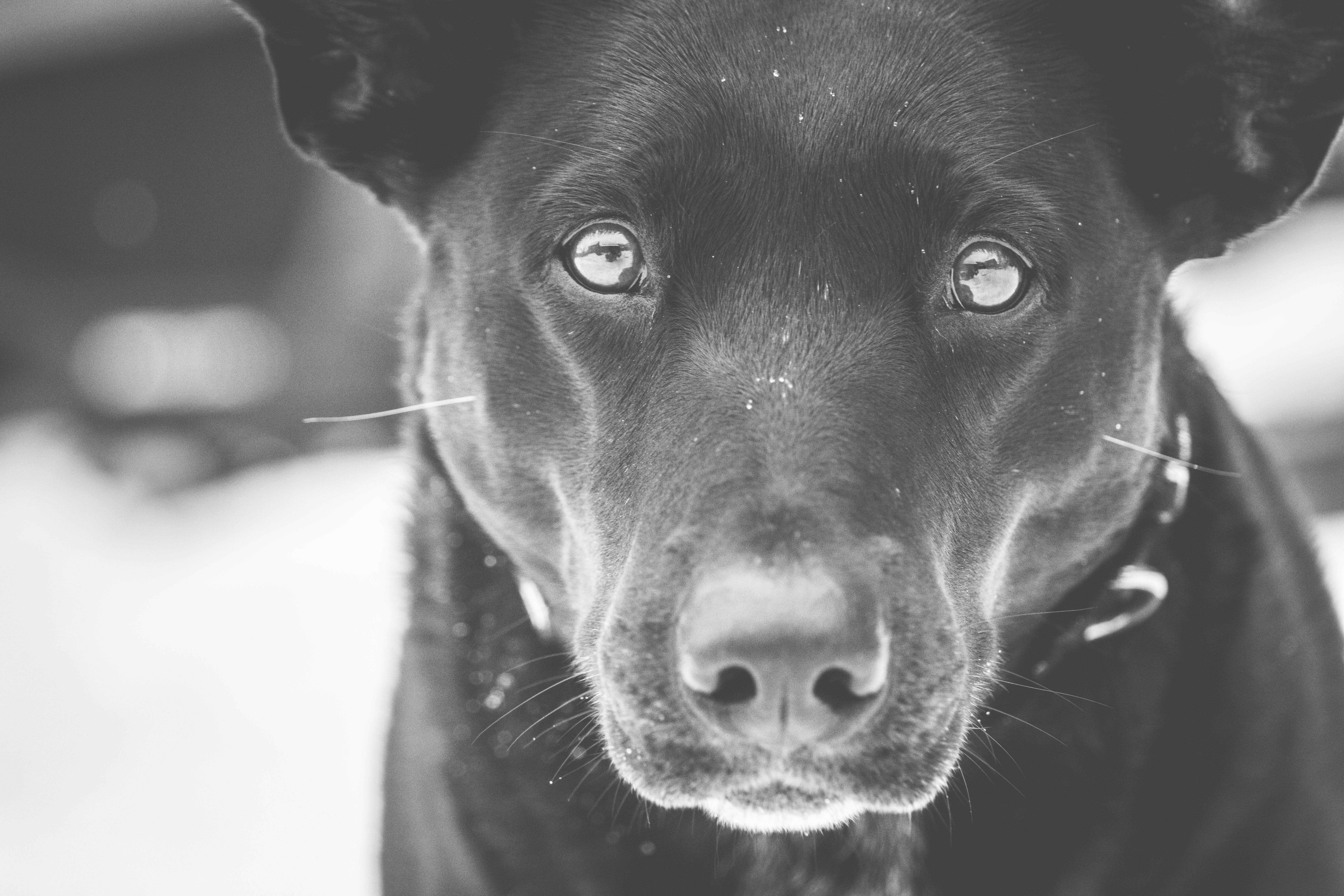 Photo by worldsbetweenlines