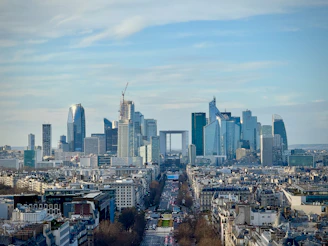 A view of the city of paris from the top of the eiffel tower