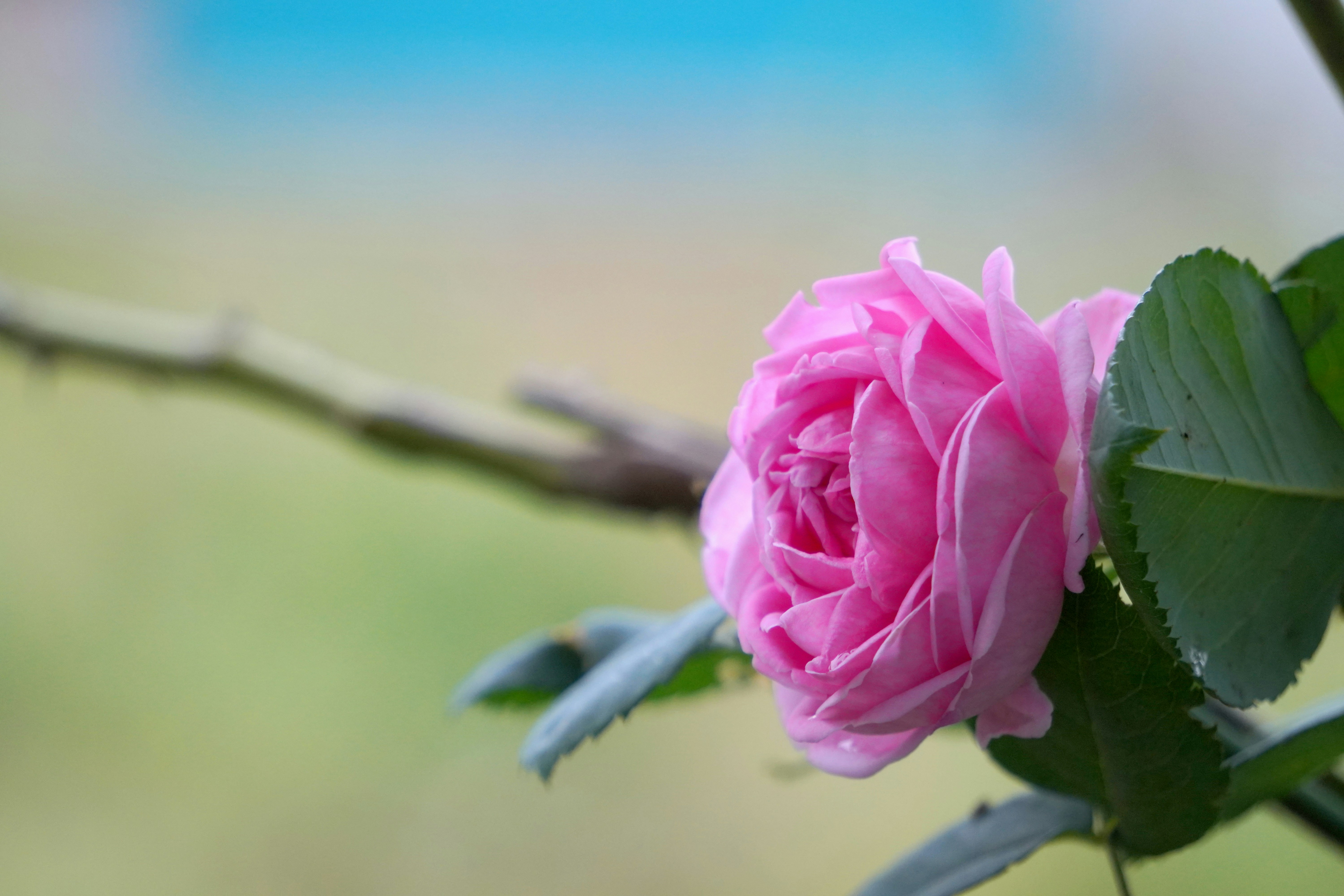 Photo by themayurkumbhar