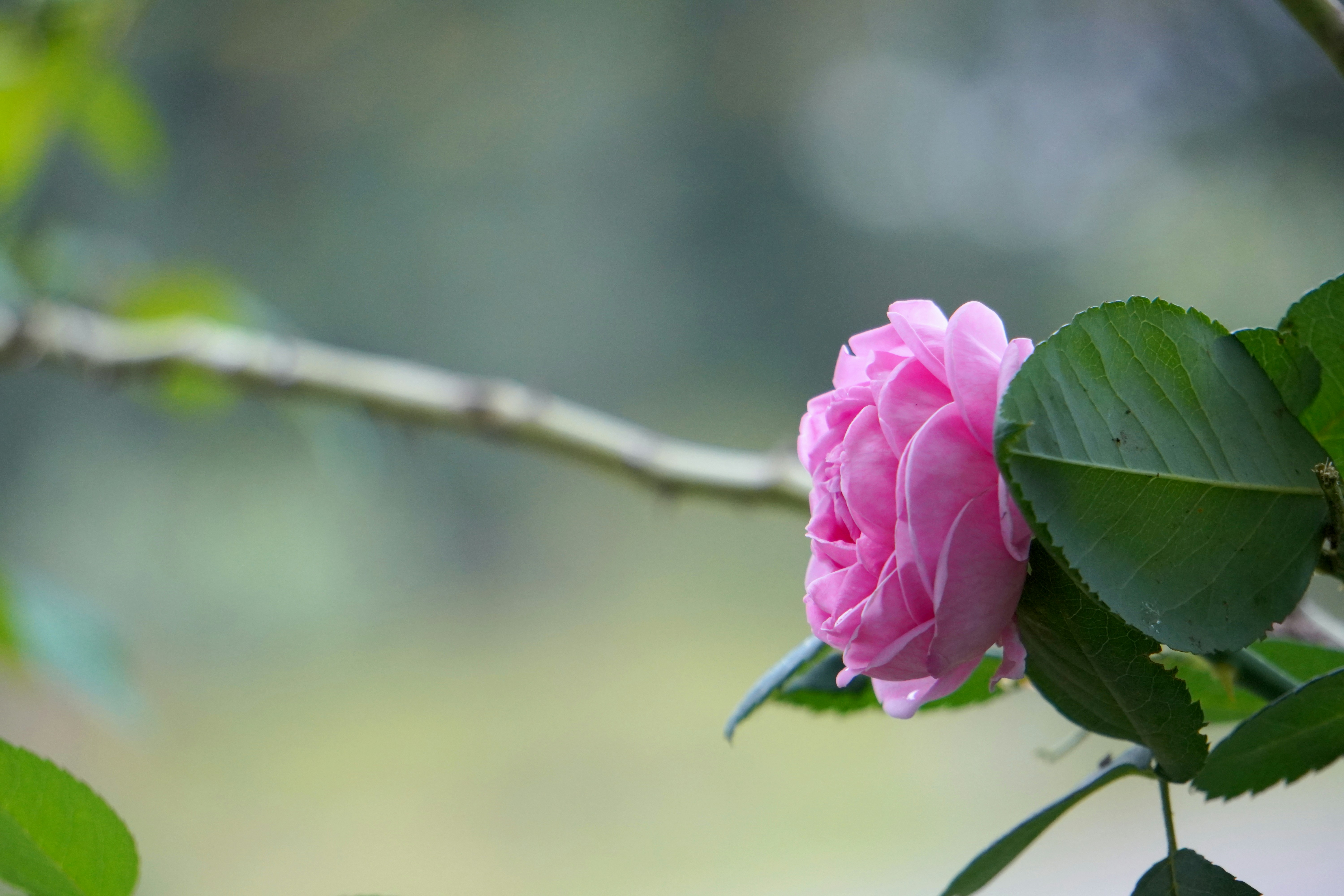 Photo by themayurkumbhar