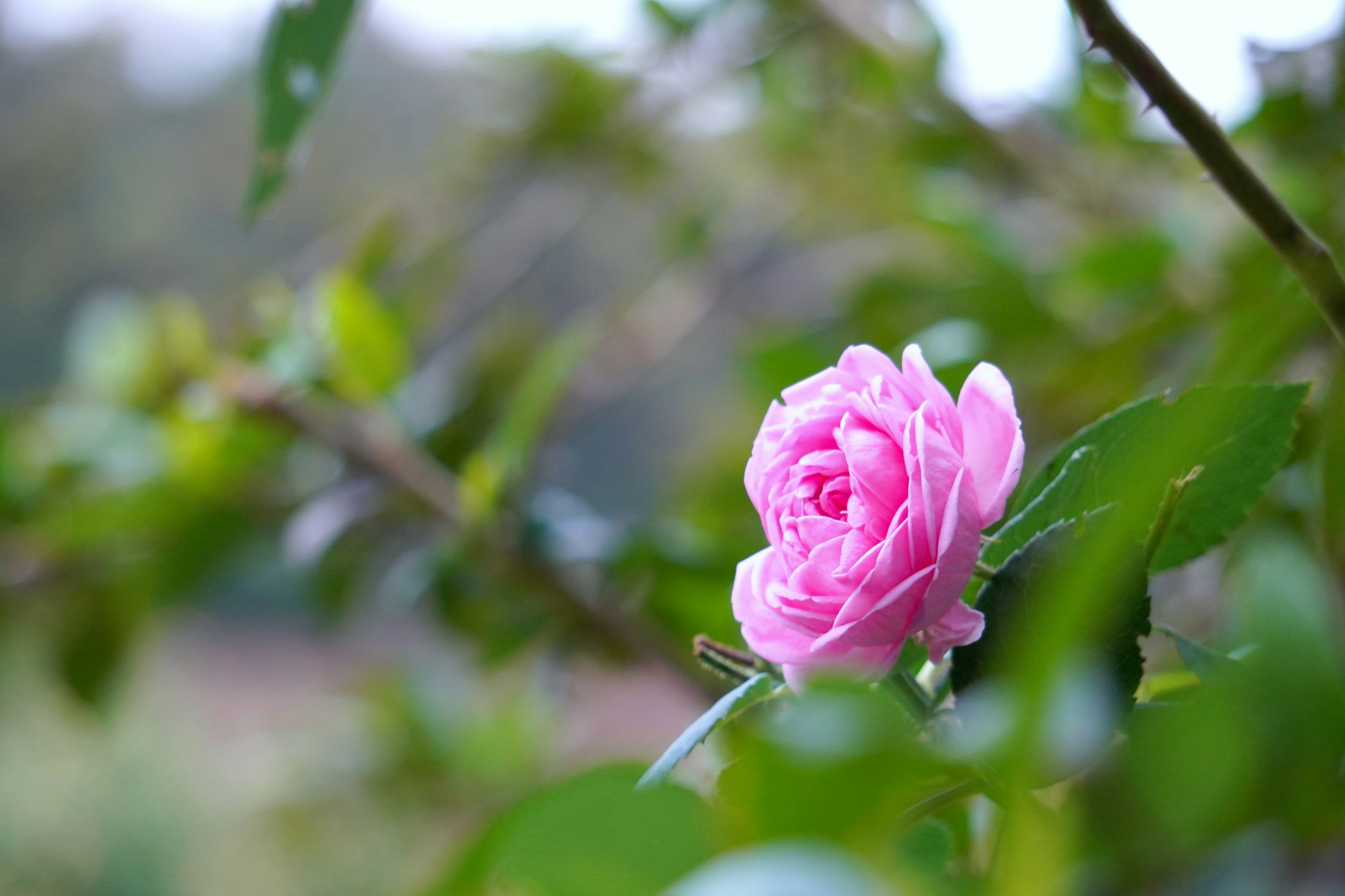 Photo by themayurkumbhar