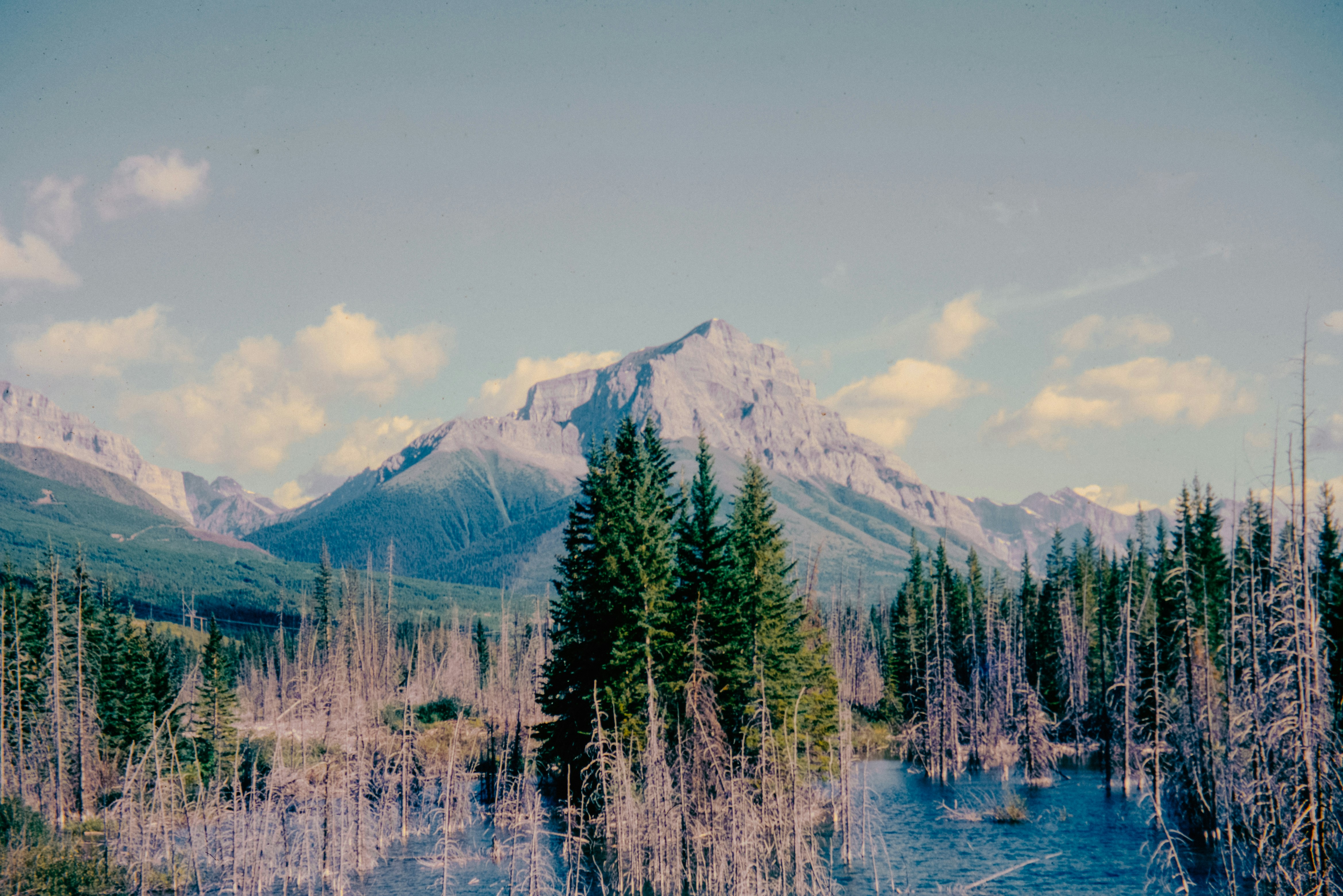 Photo by anniespratt