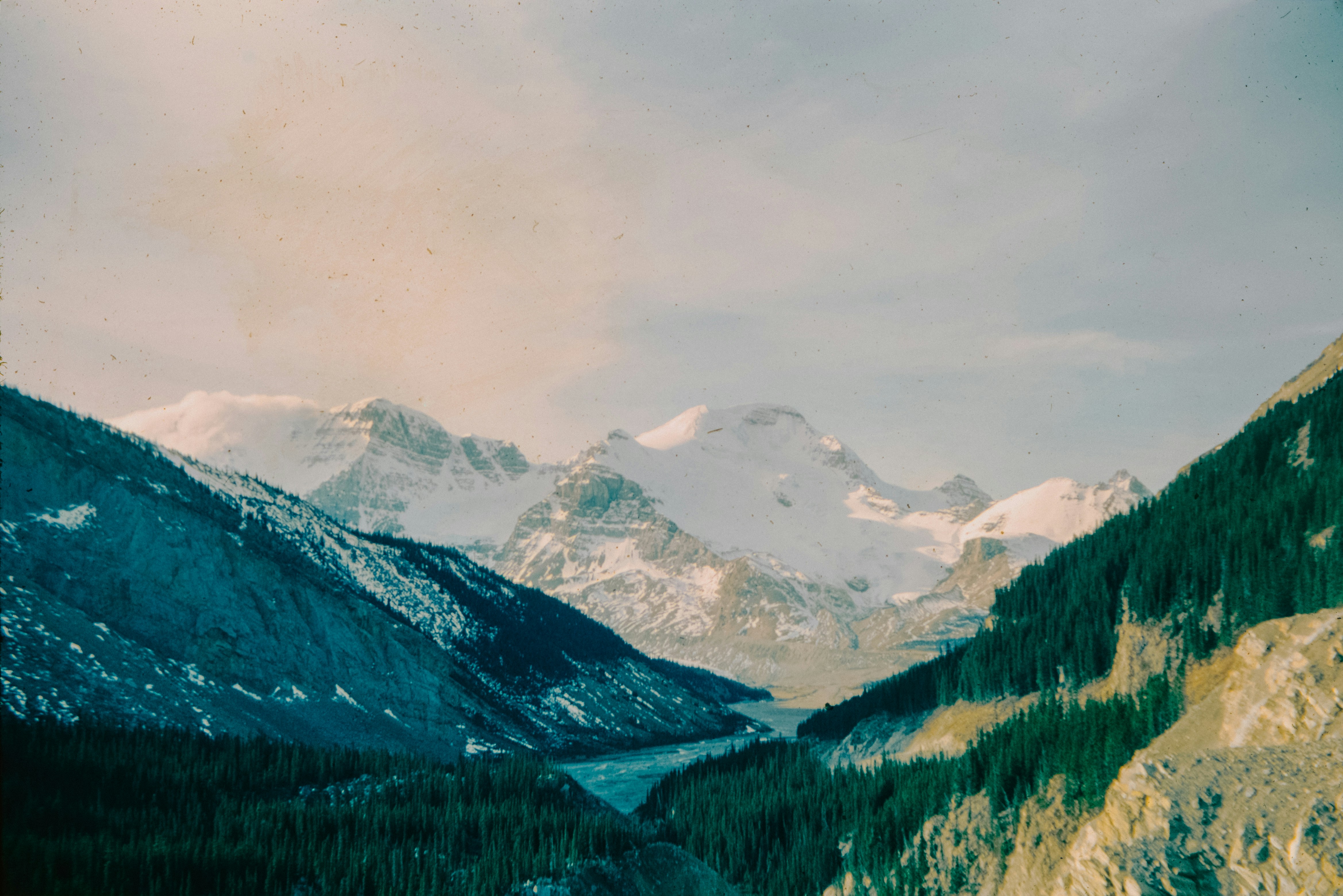 와이덱스 스마트RIC 보청기의 가격은 얼마인가요? 귀에 쏙 들어오는 최신 보청기!