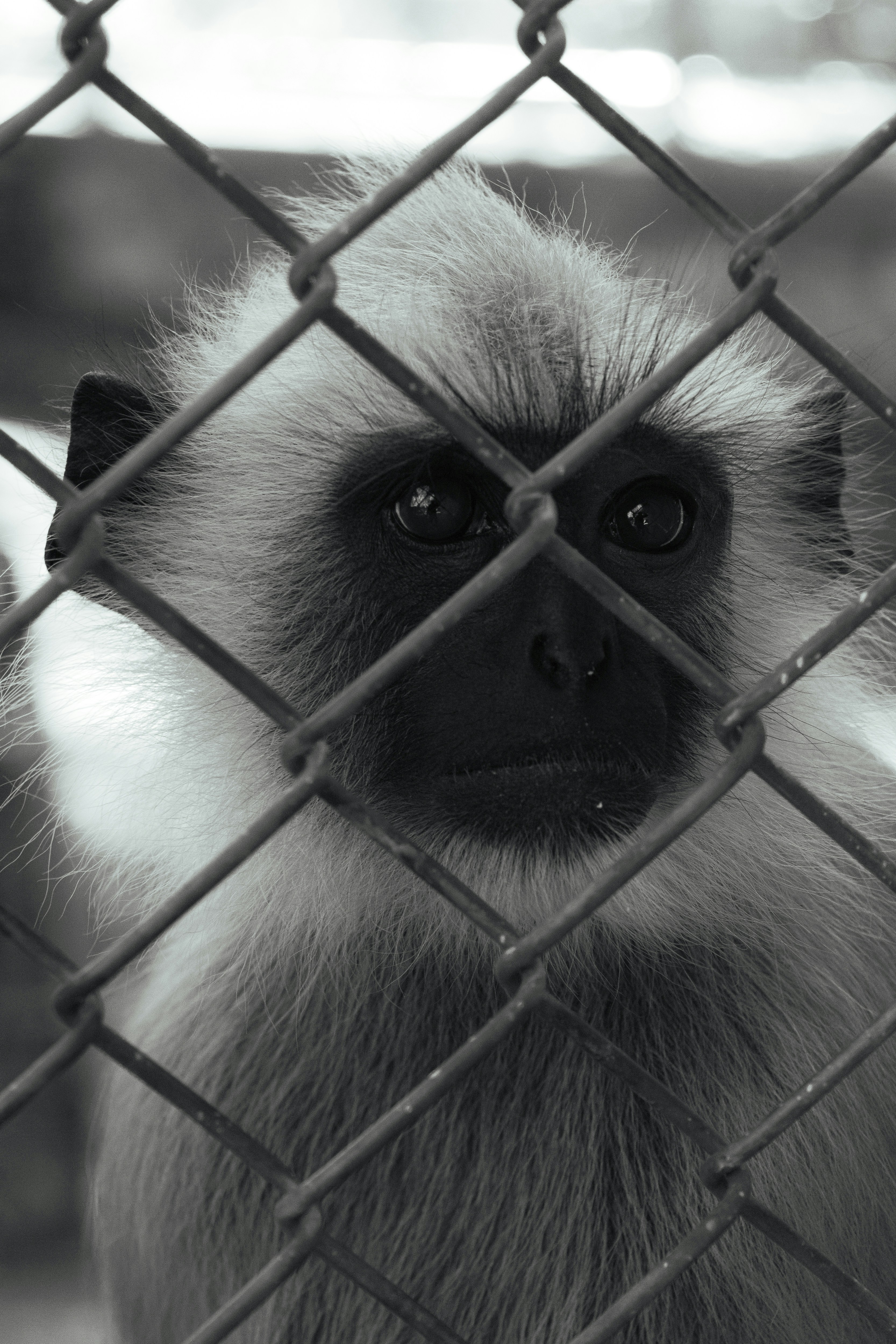 Photo by suryadoingstuff