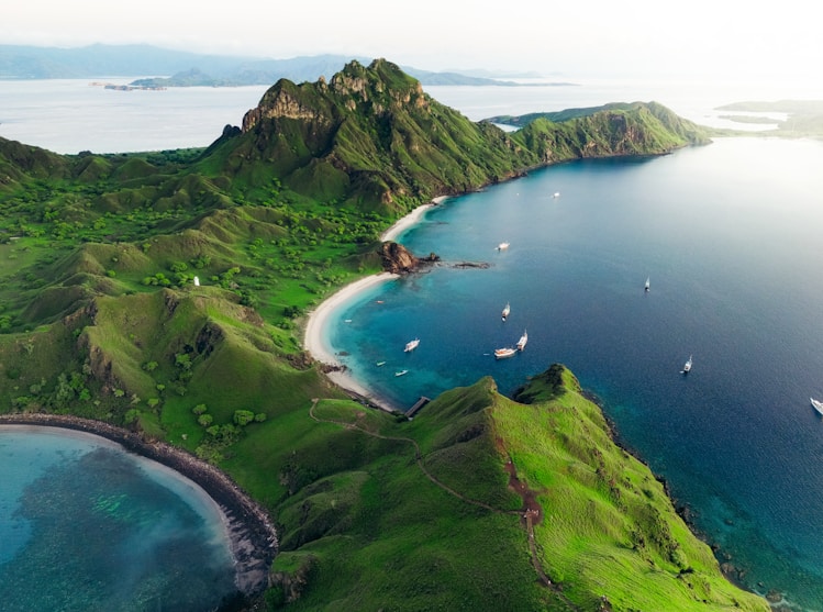 An aerial view of a green island with boats in the water