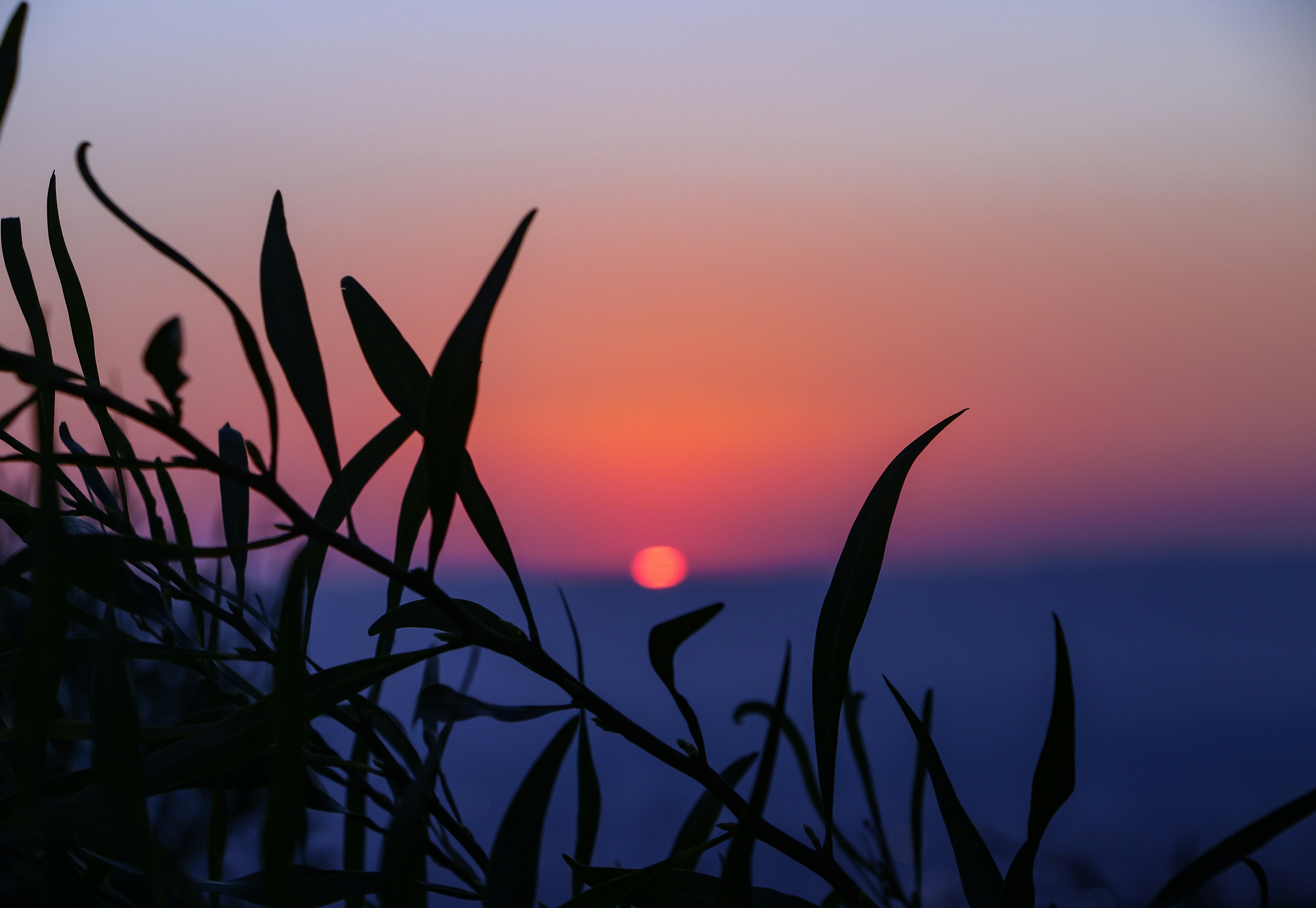 Photo by haim_charbit18