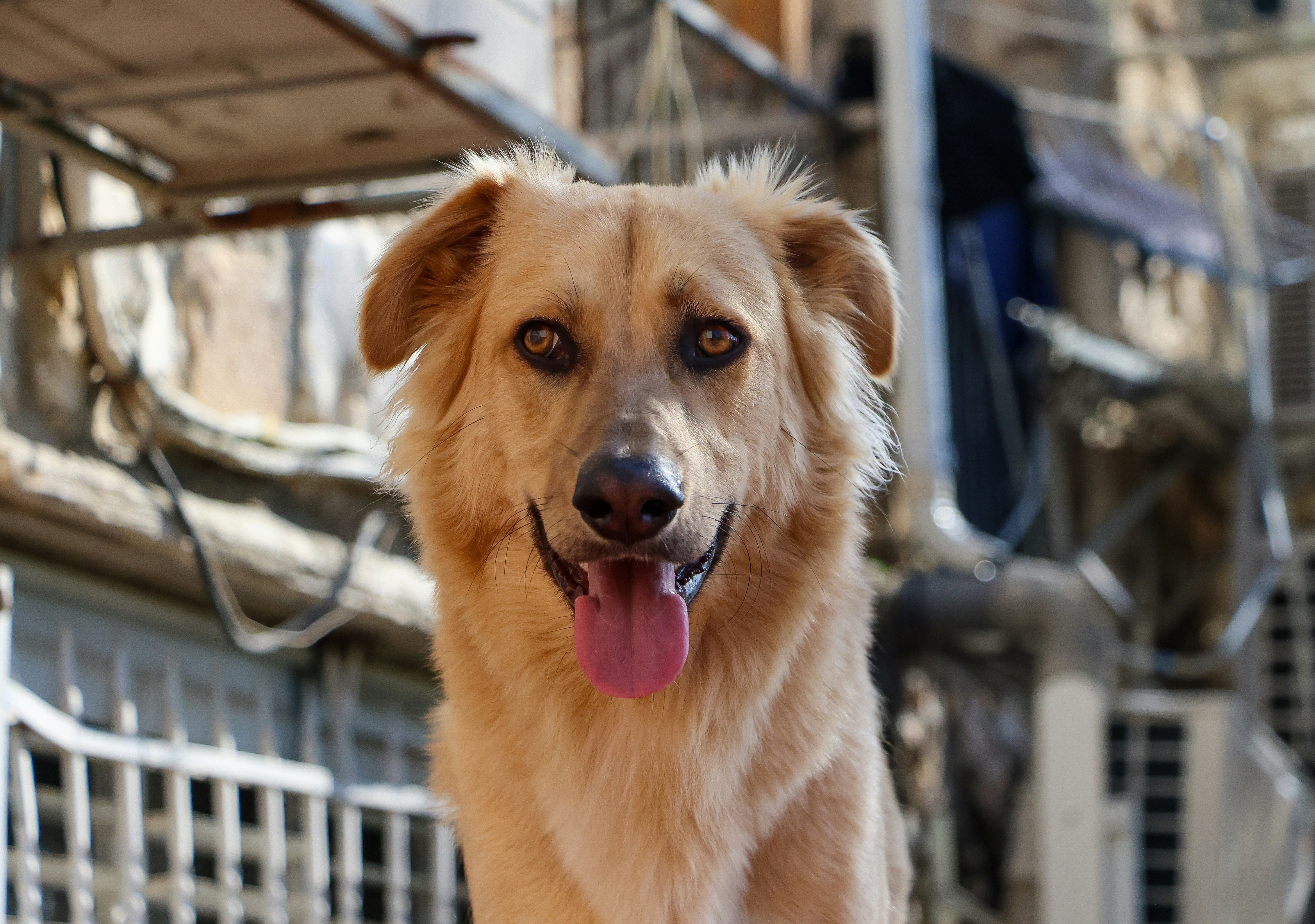 Photo by haim_charbit18