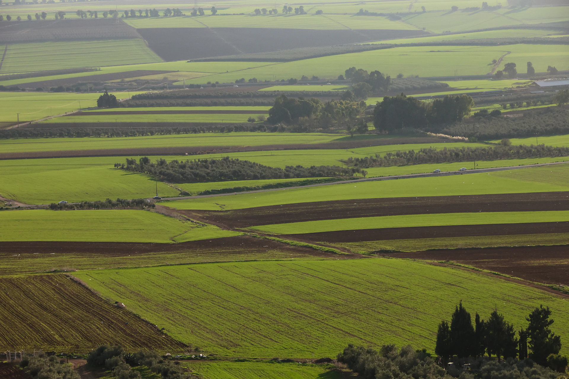 An aerial view of a large green field