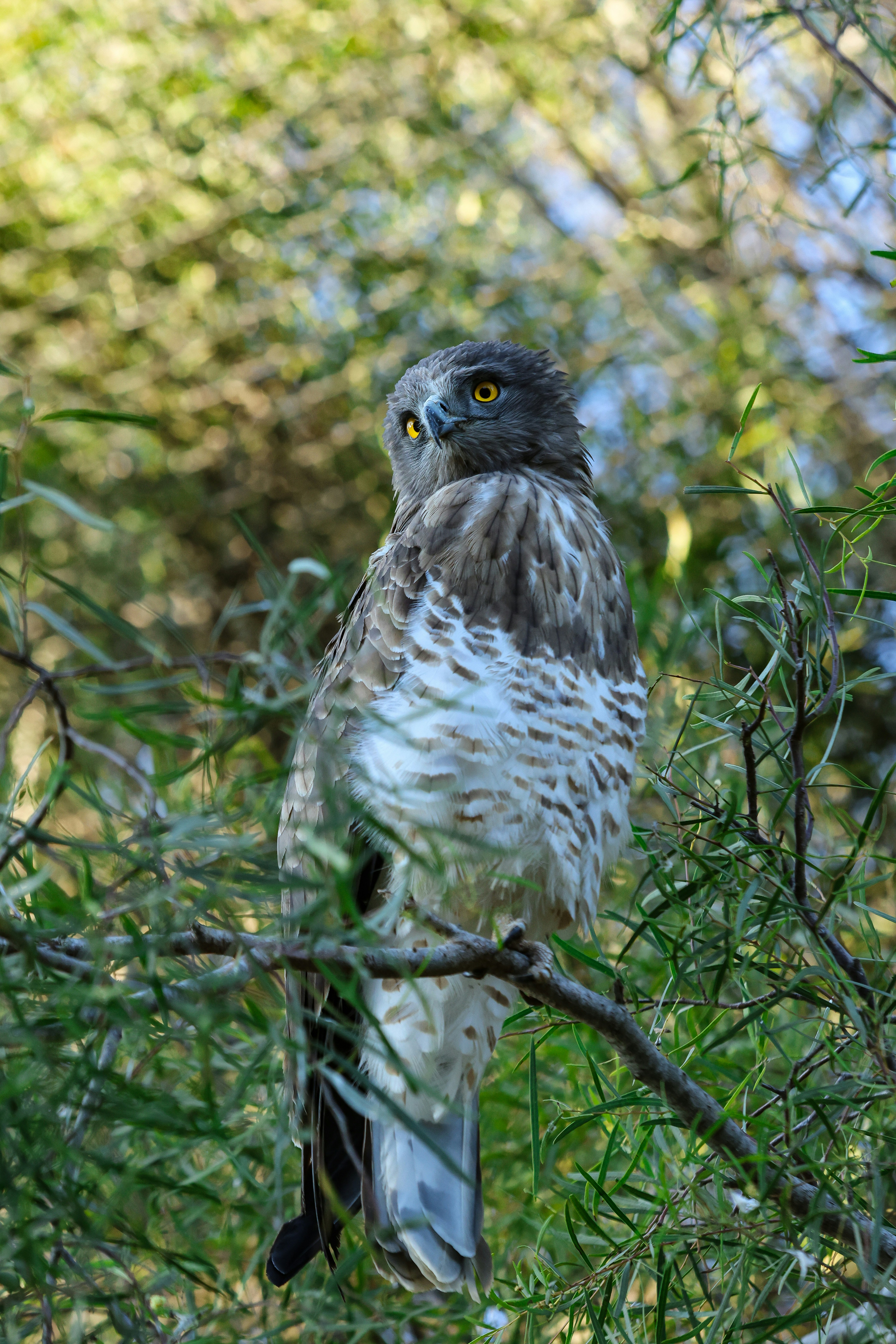 Photo by haim_charbit18