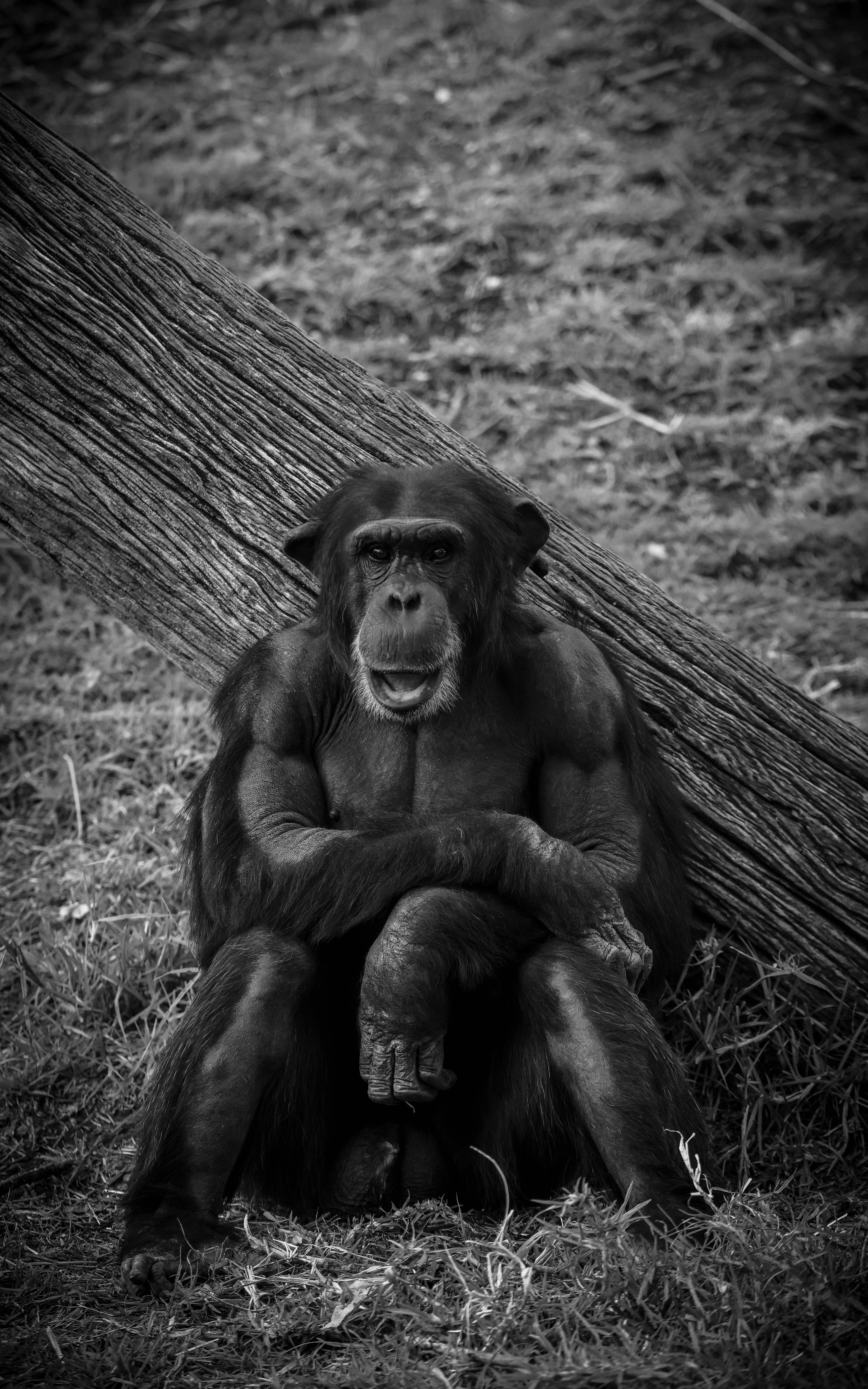 Photo by haim_charbit18