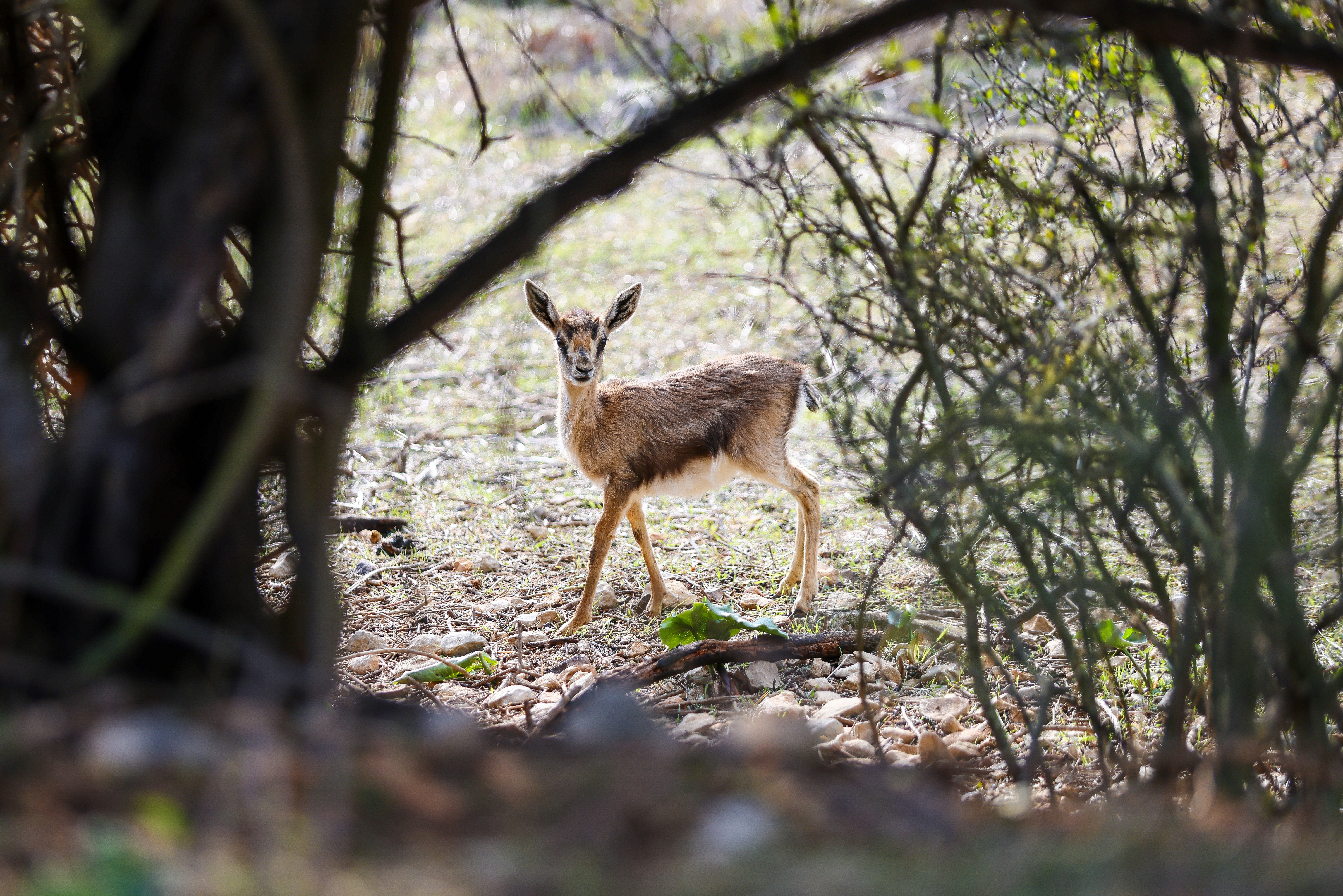 Photo by haim_charbit18