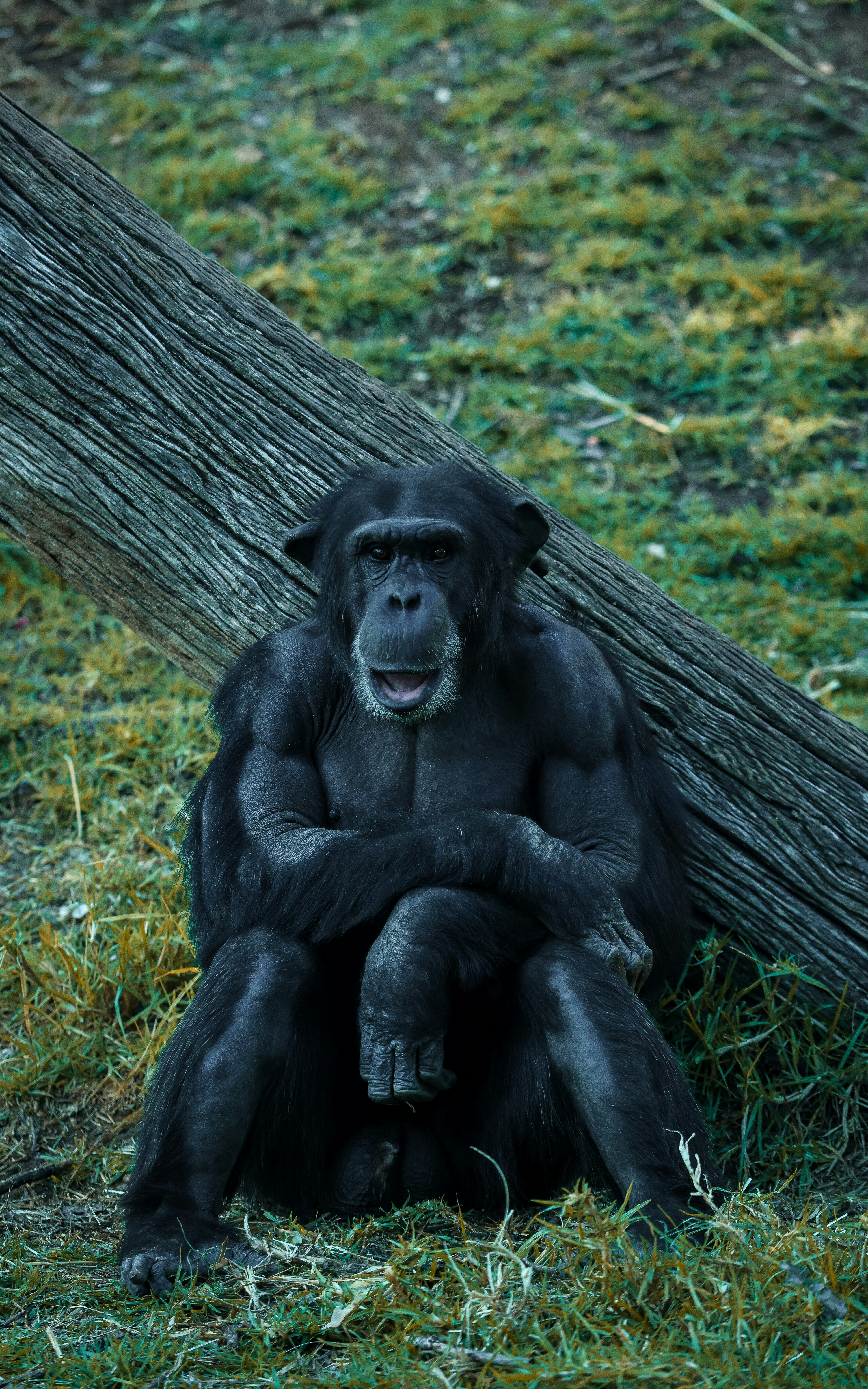 Photo by haim_charbit18