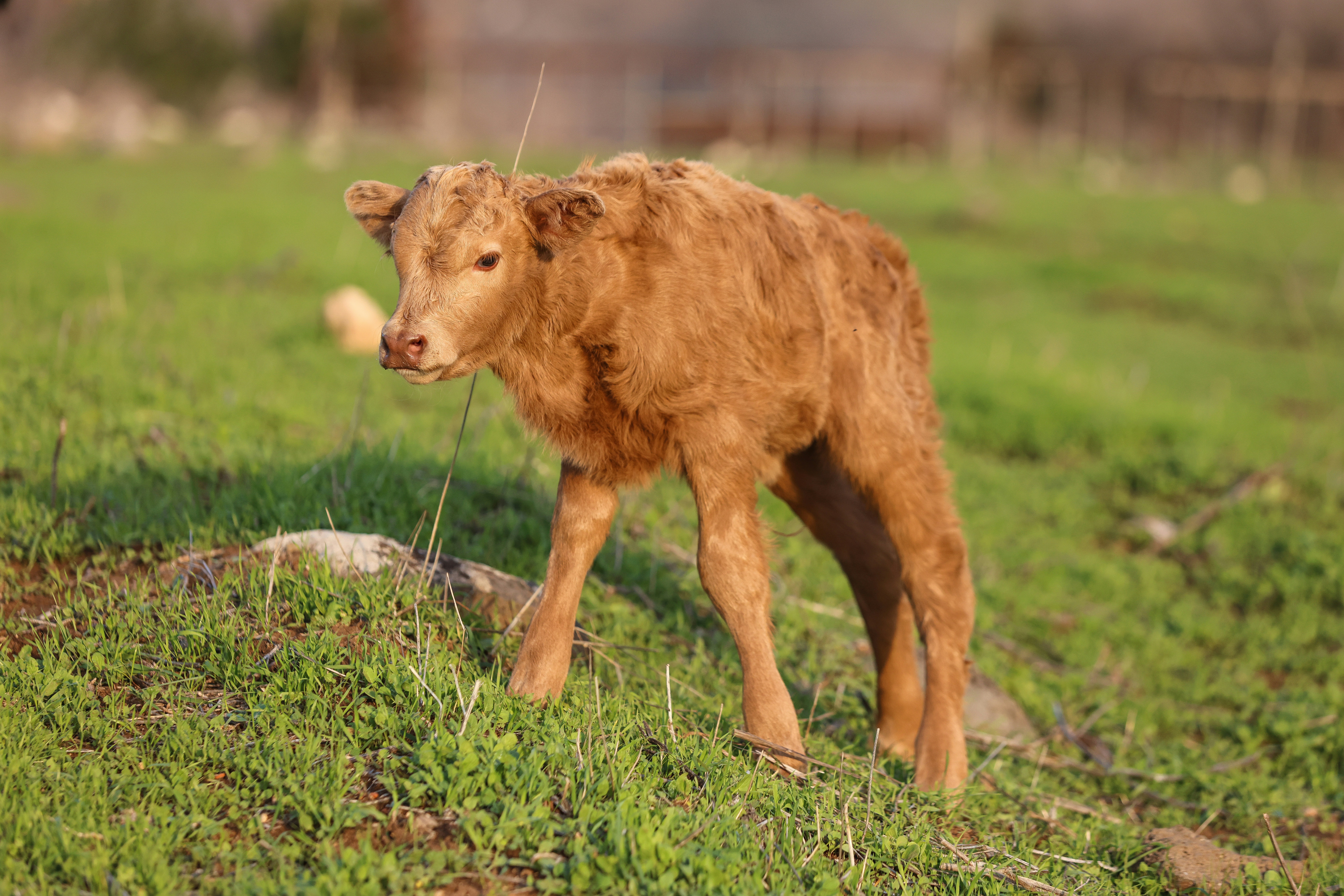 Photo by haim_charbit18