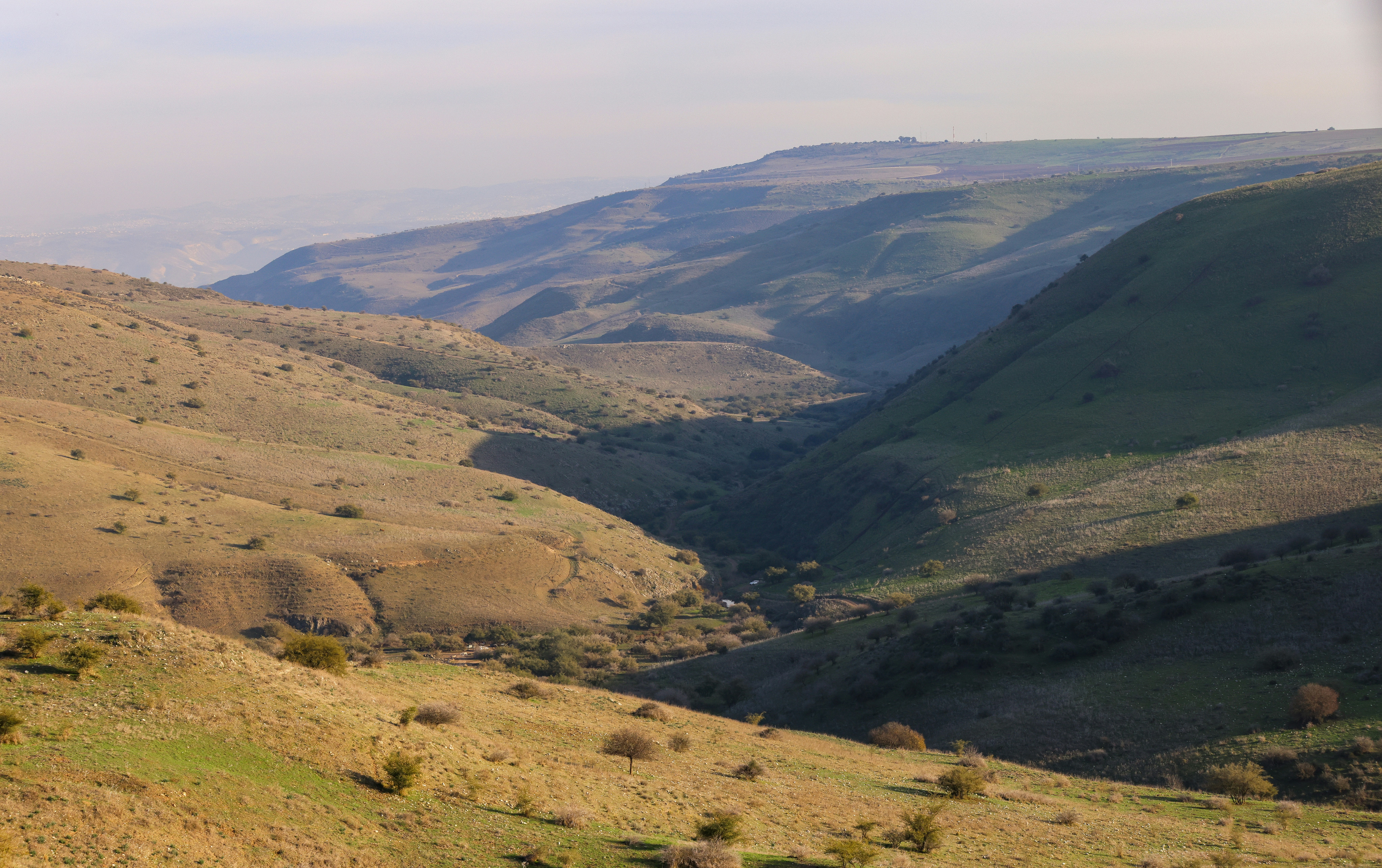 Photo by haim_charbit18