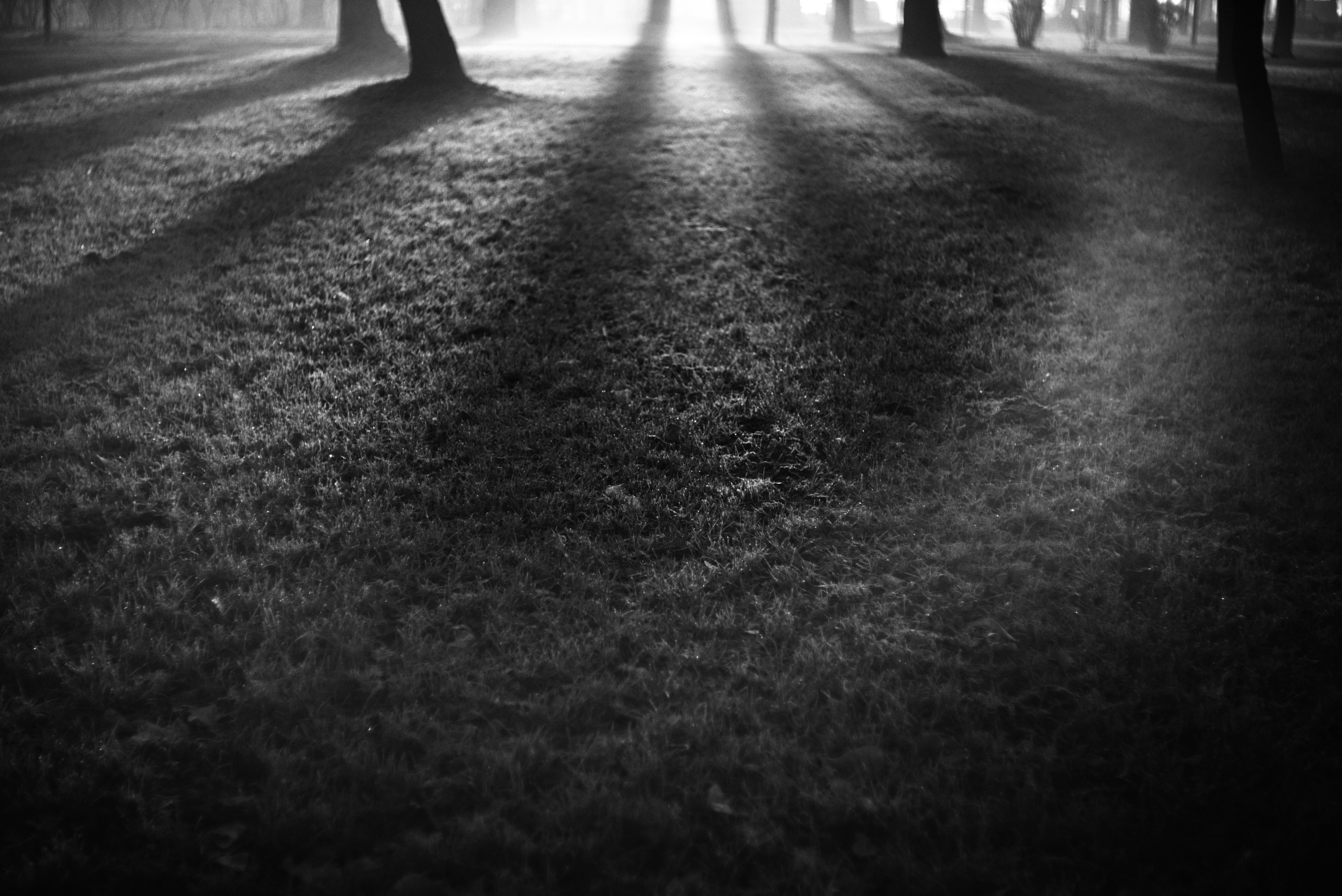 Photo by cherstve_pechivo