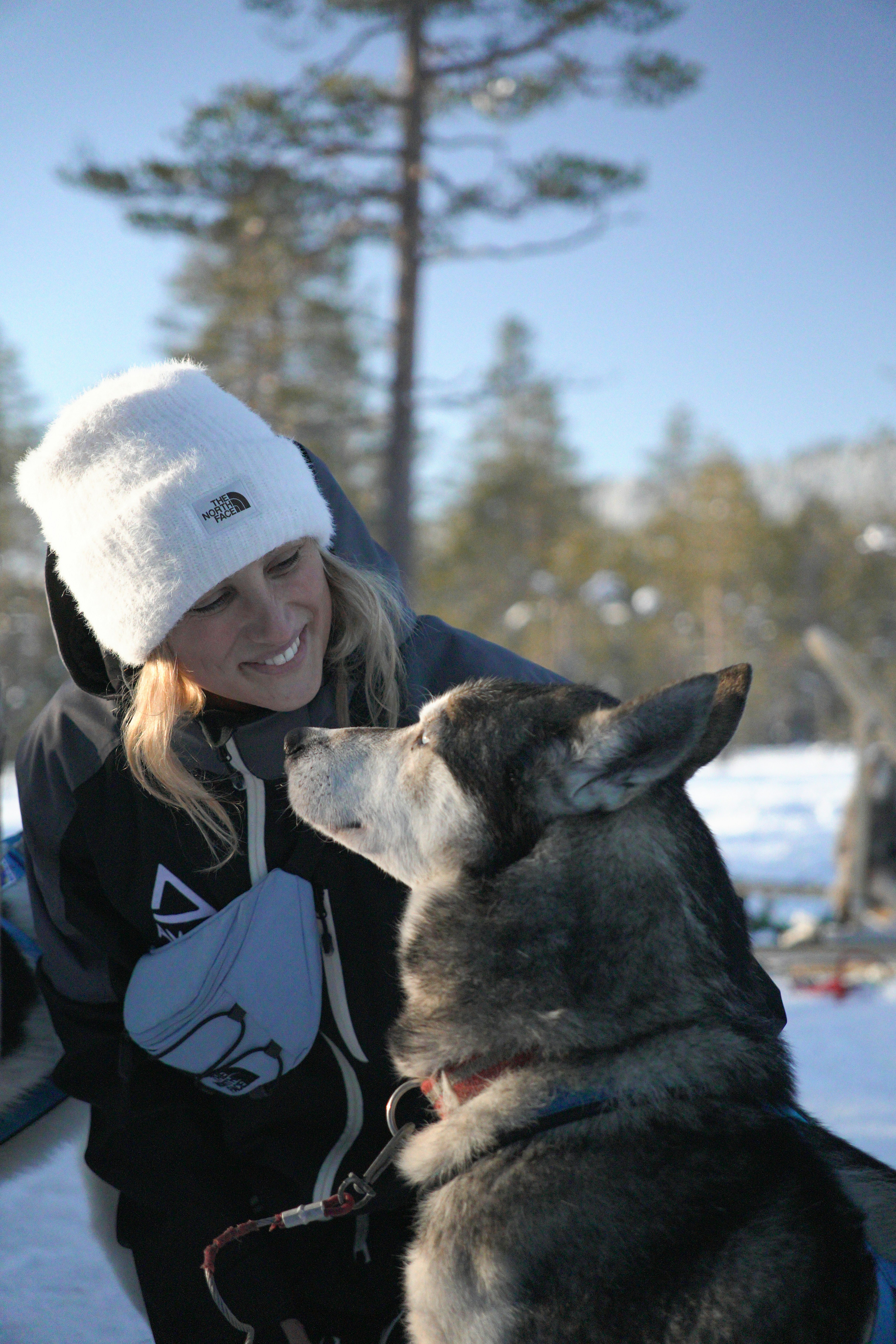 A woman and a dog in the snow photo – Free Norway Image on Unsplash