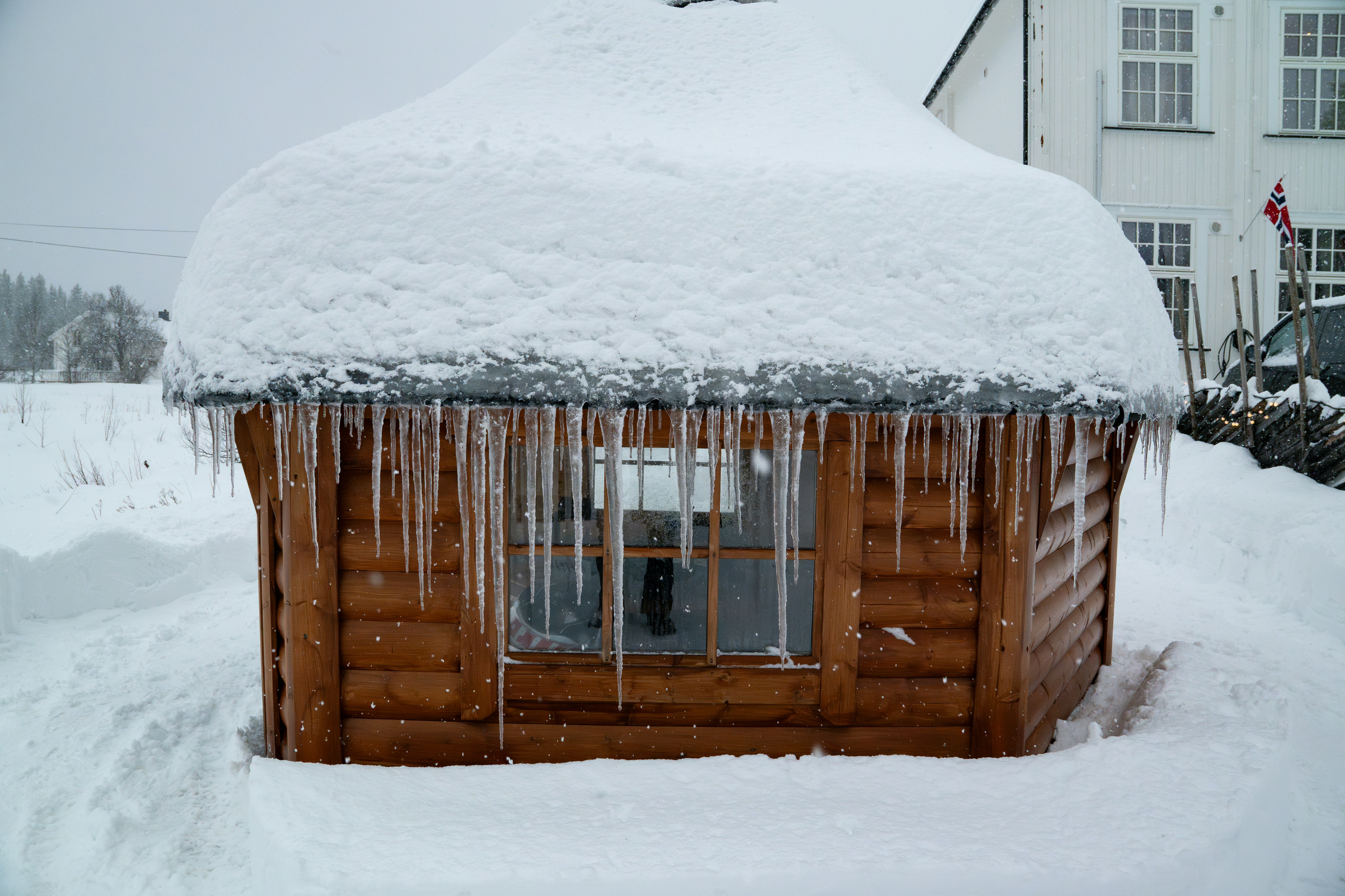 Randy's Ice House