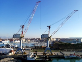 A group of cranes sitting next to a body of water