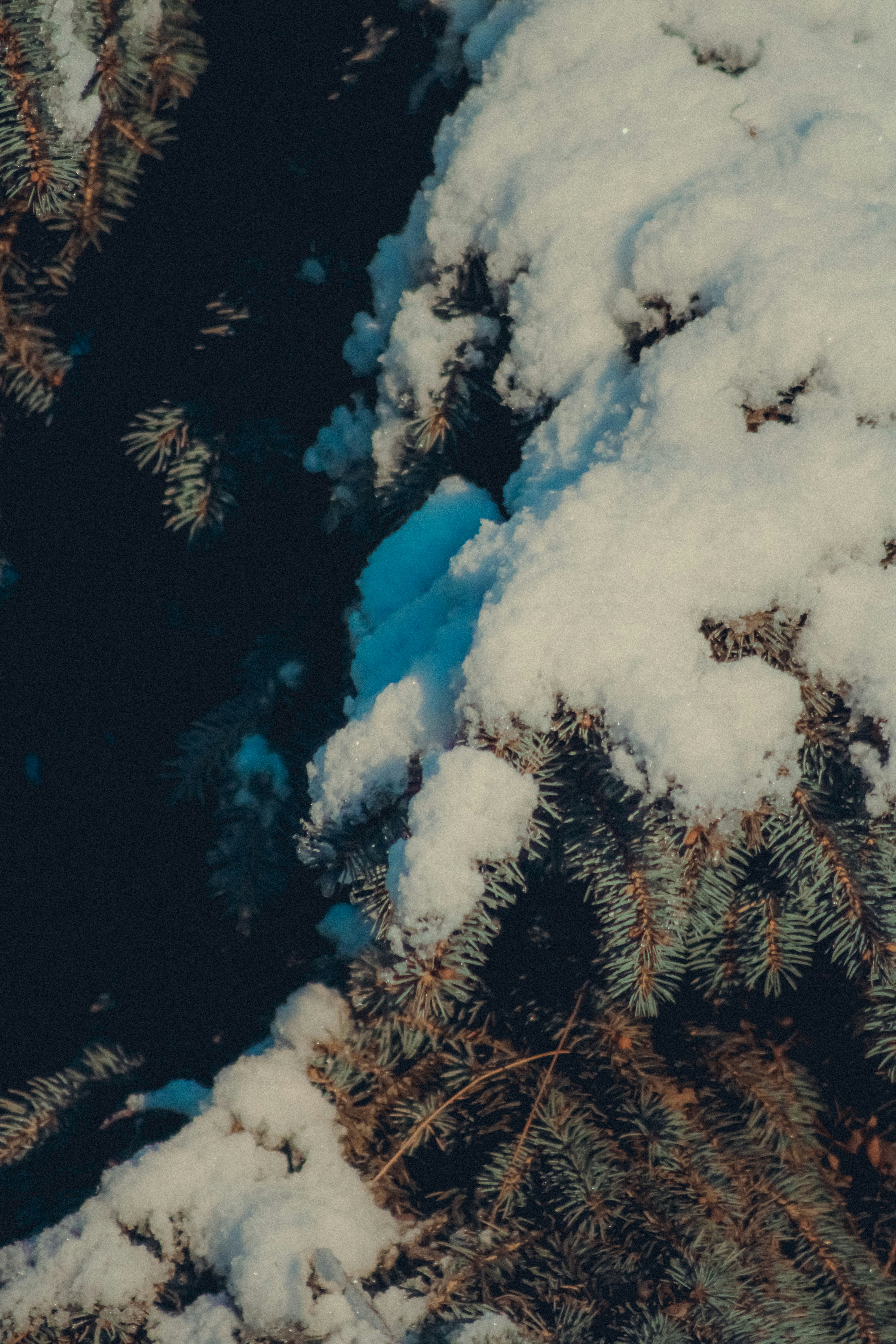 Photo by linusbelanger