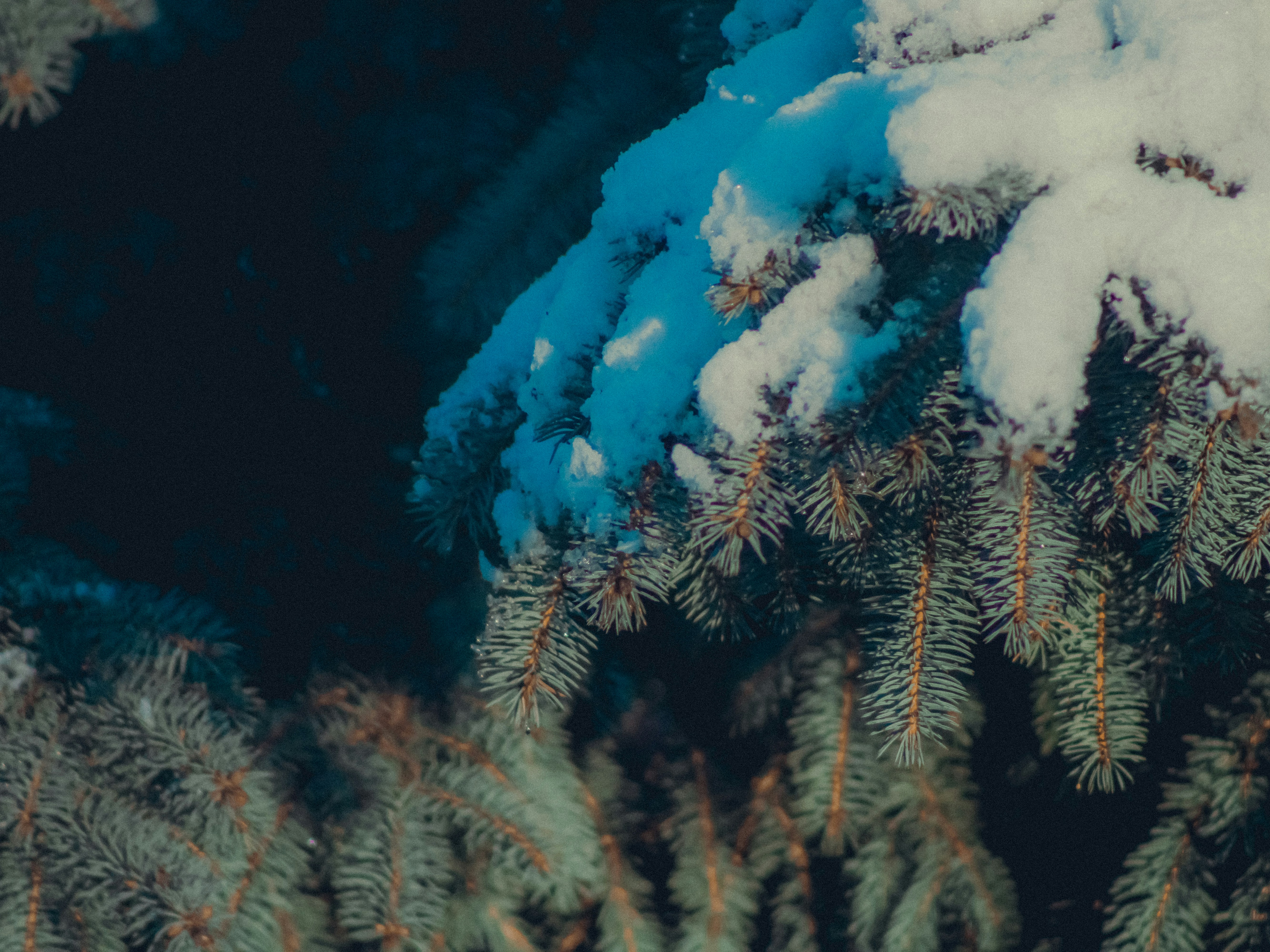 Photo by linusbelanger