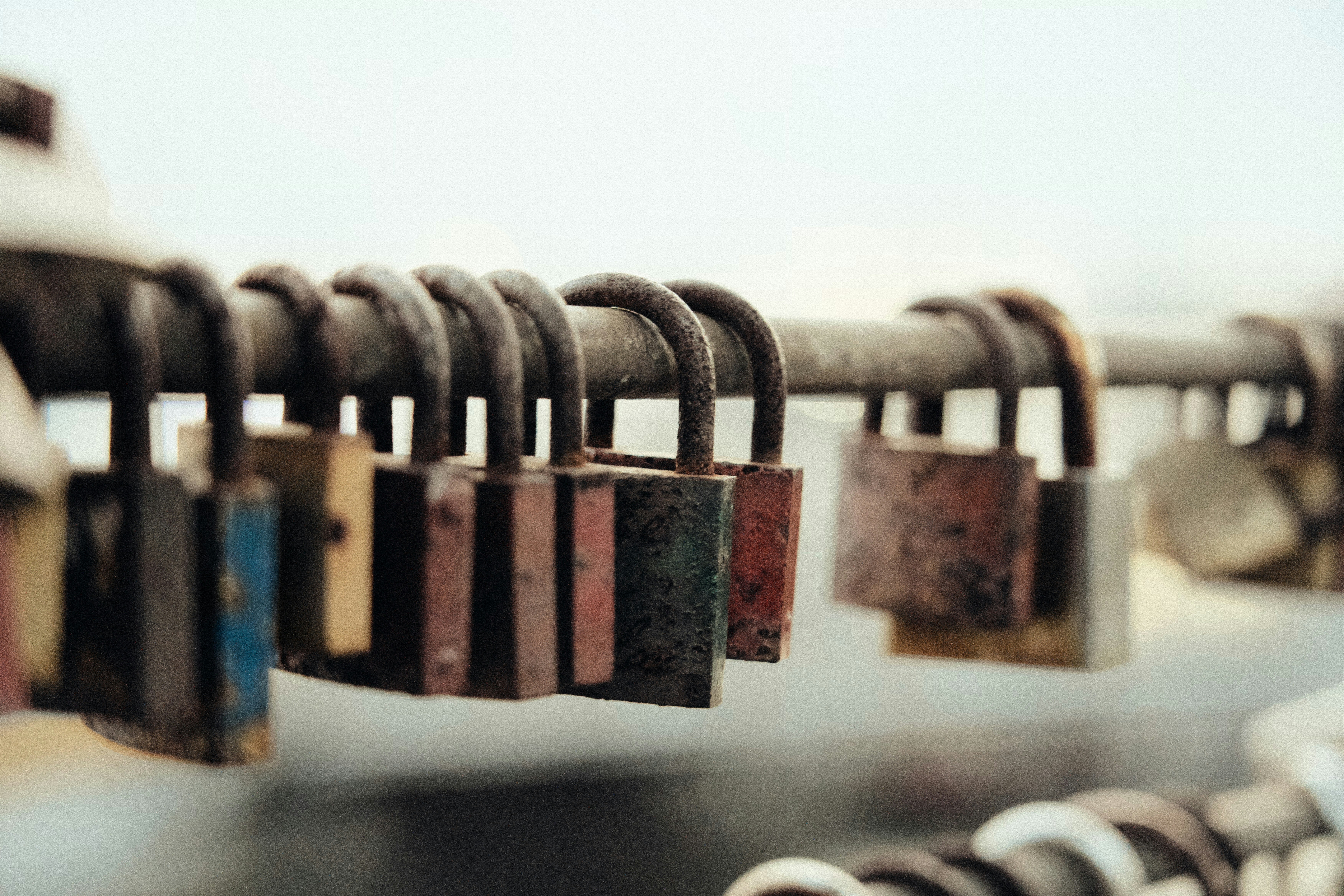 Ein veröffentlichtes Foto