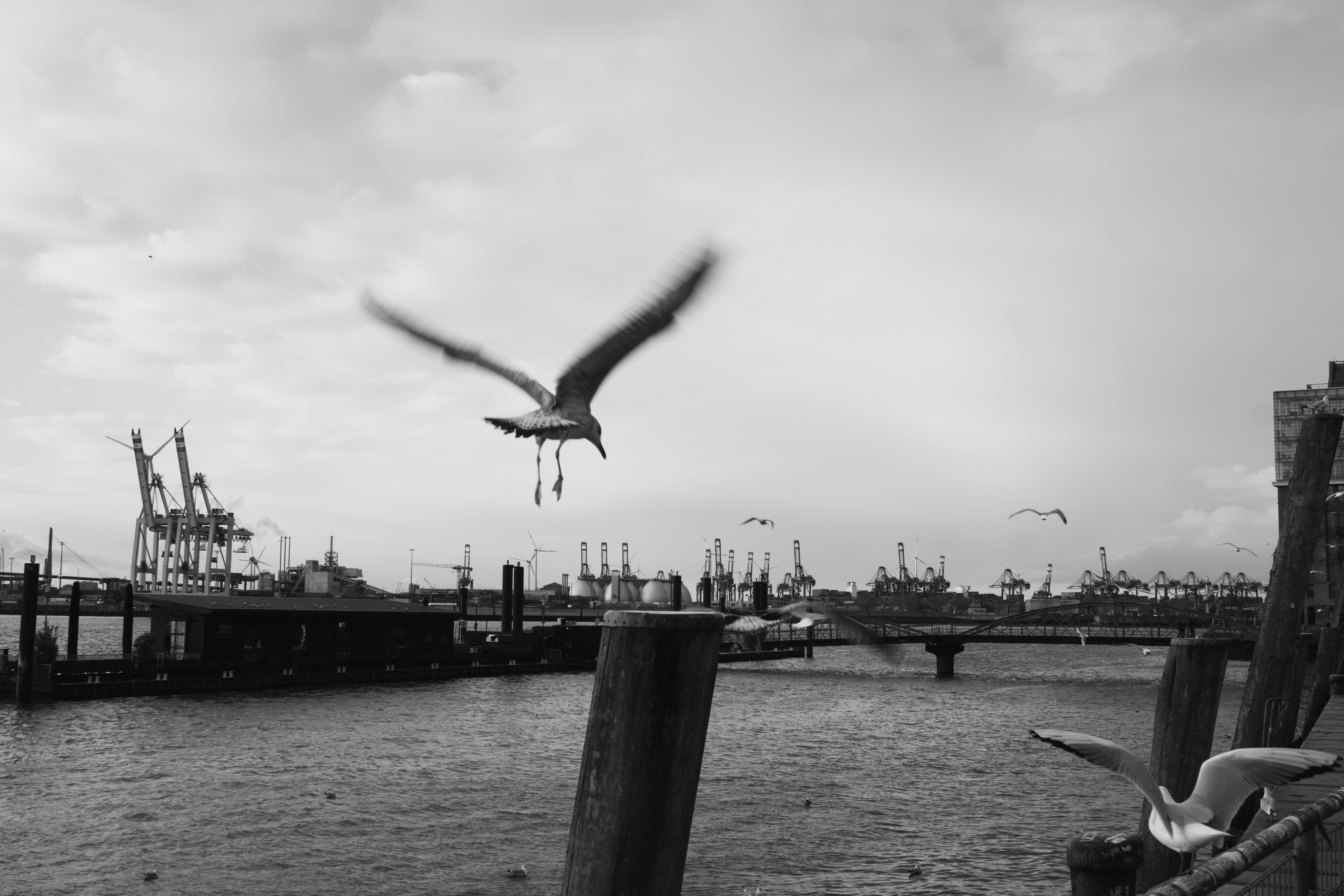 Ein veröffentlichtes Foto