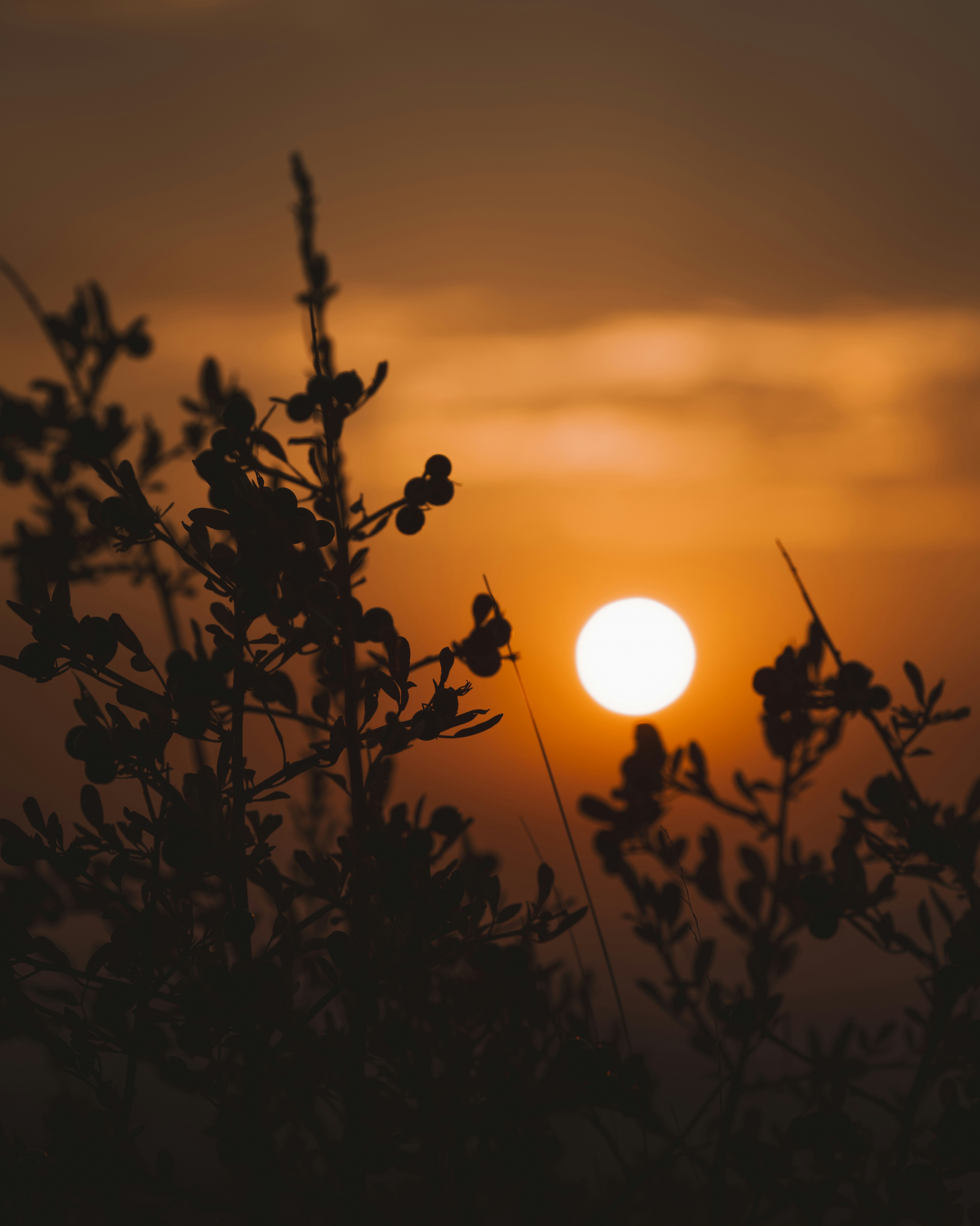 Photo by ahmetyuksek