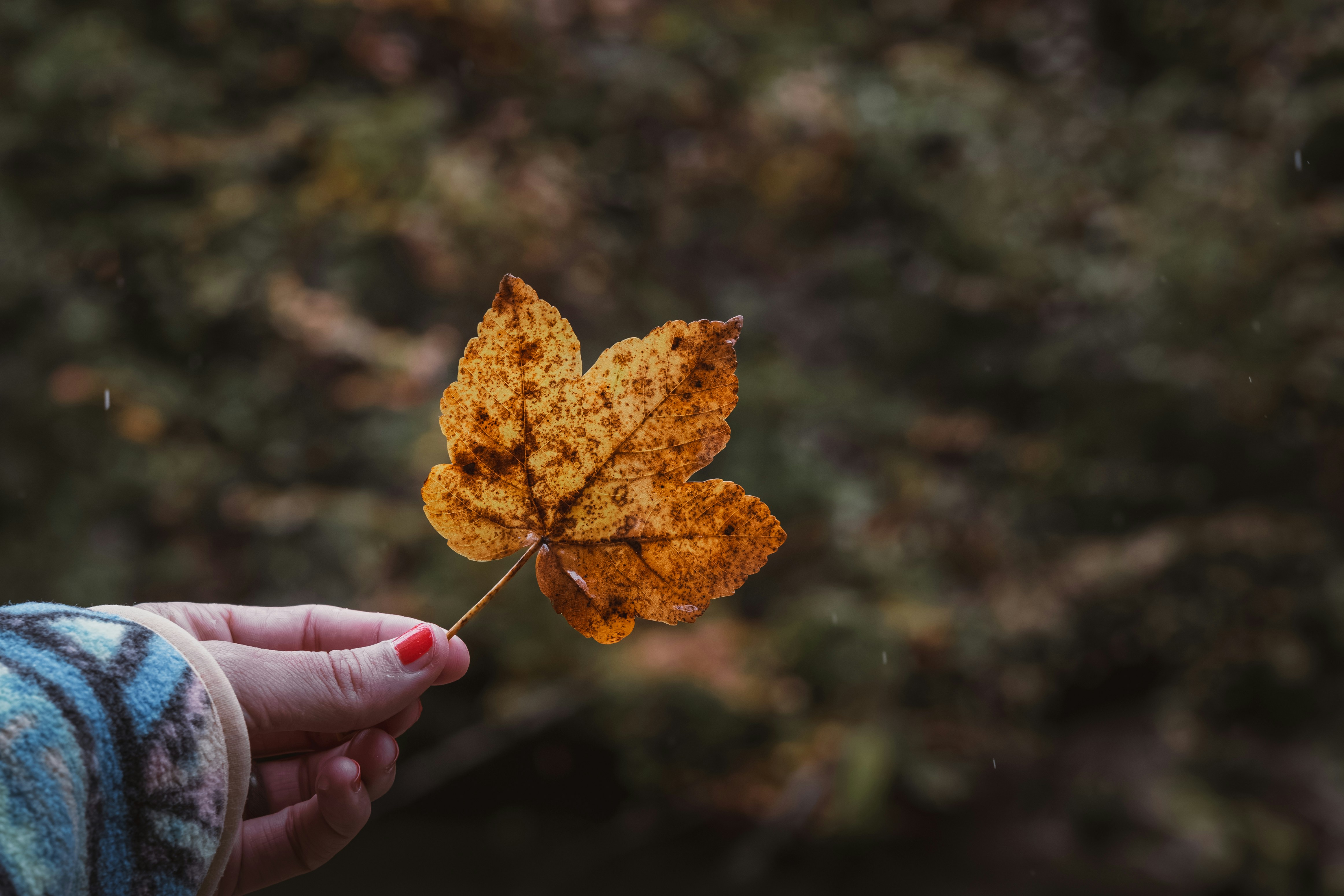 Photo by ahmetyuksek