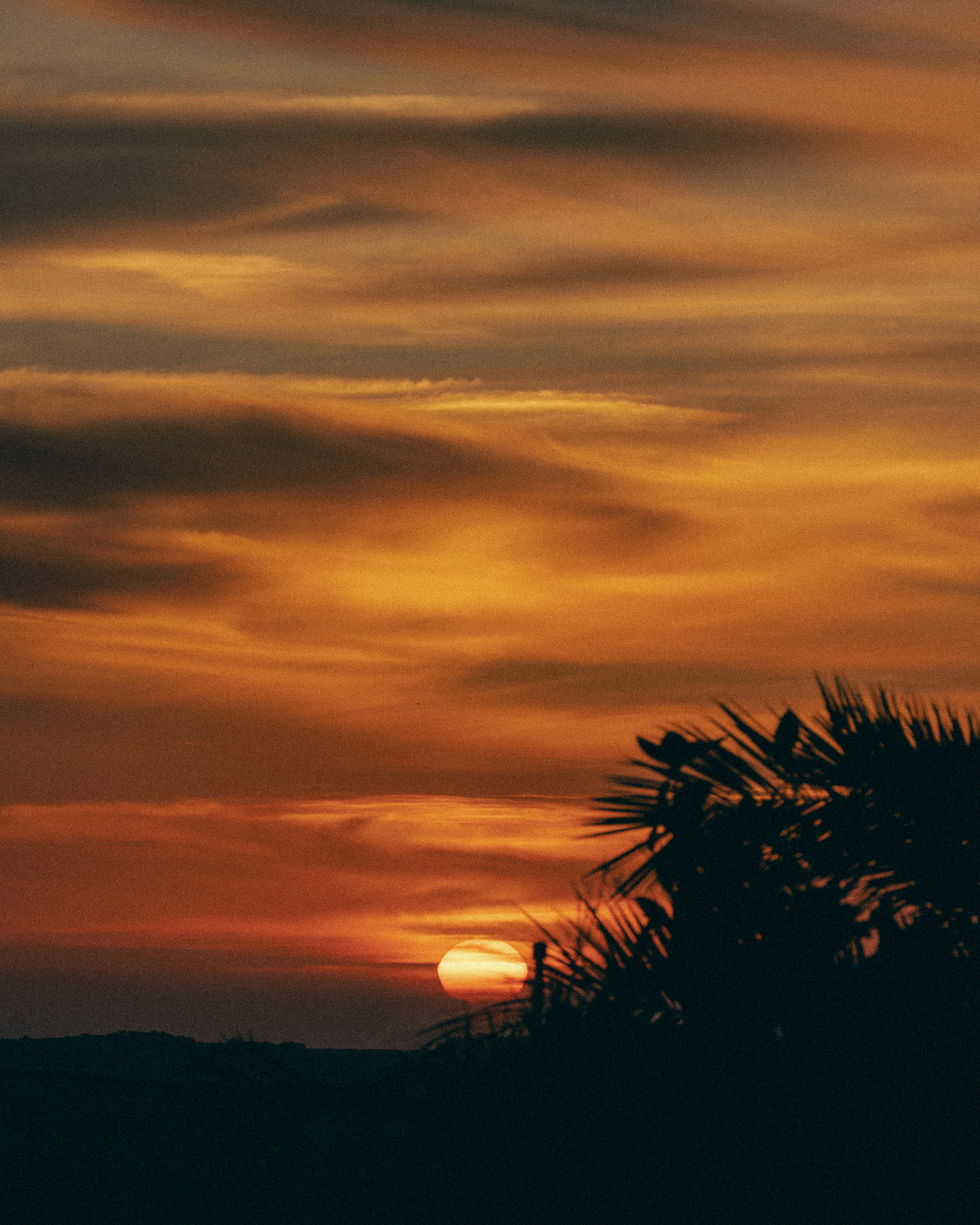 Photo by ahmetyuksek