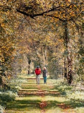 Two people walking down a path in the woods
