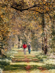 Two people walking down a path in the woods