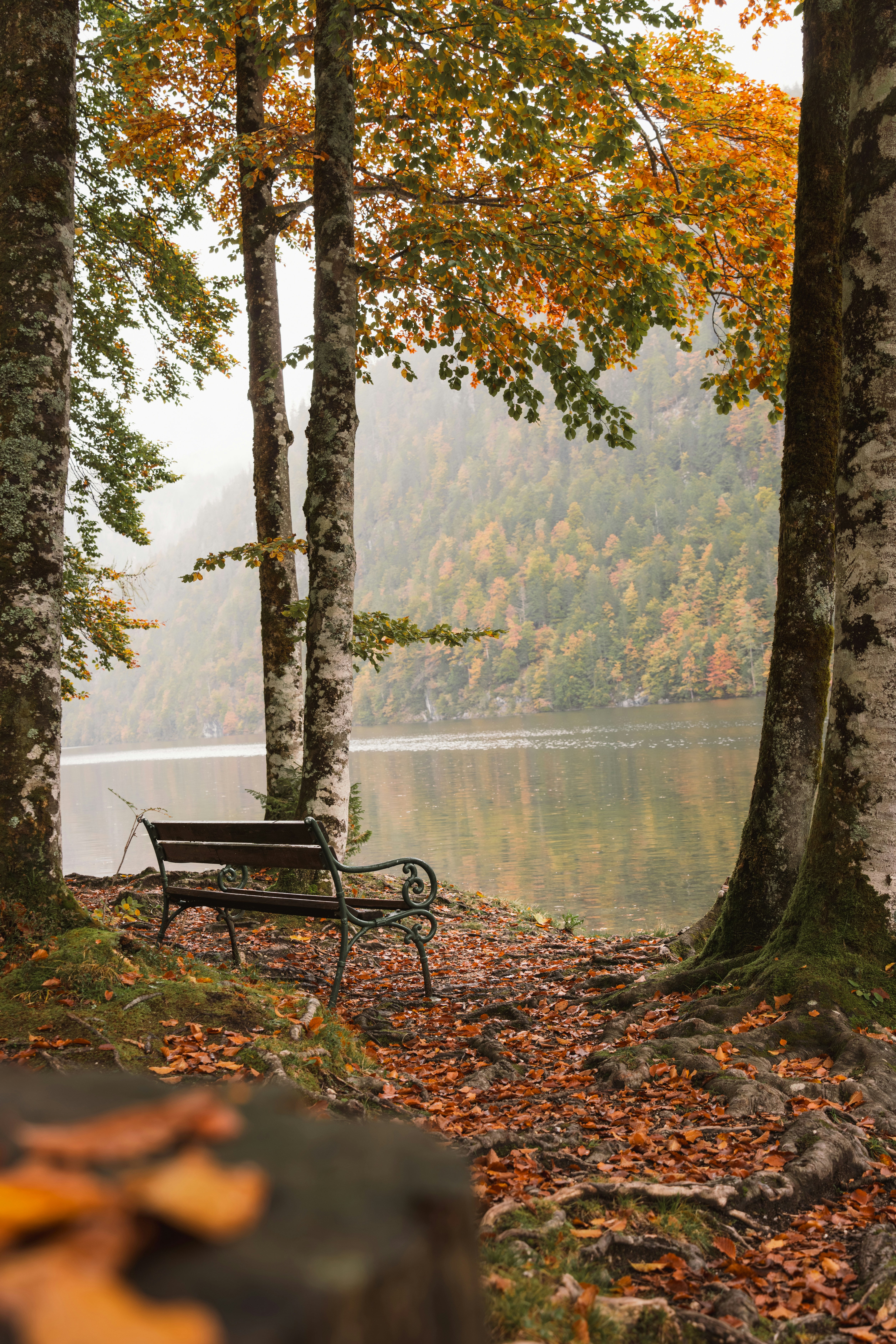 Photo by ahmetyuksek