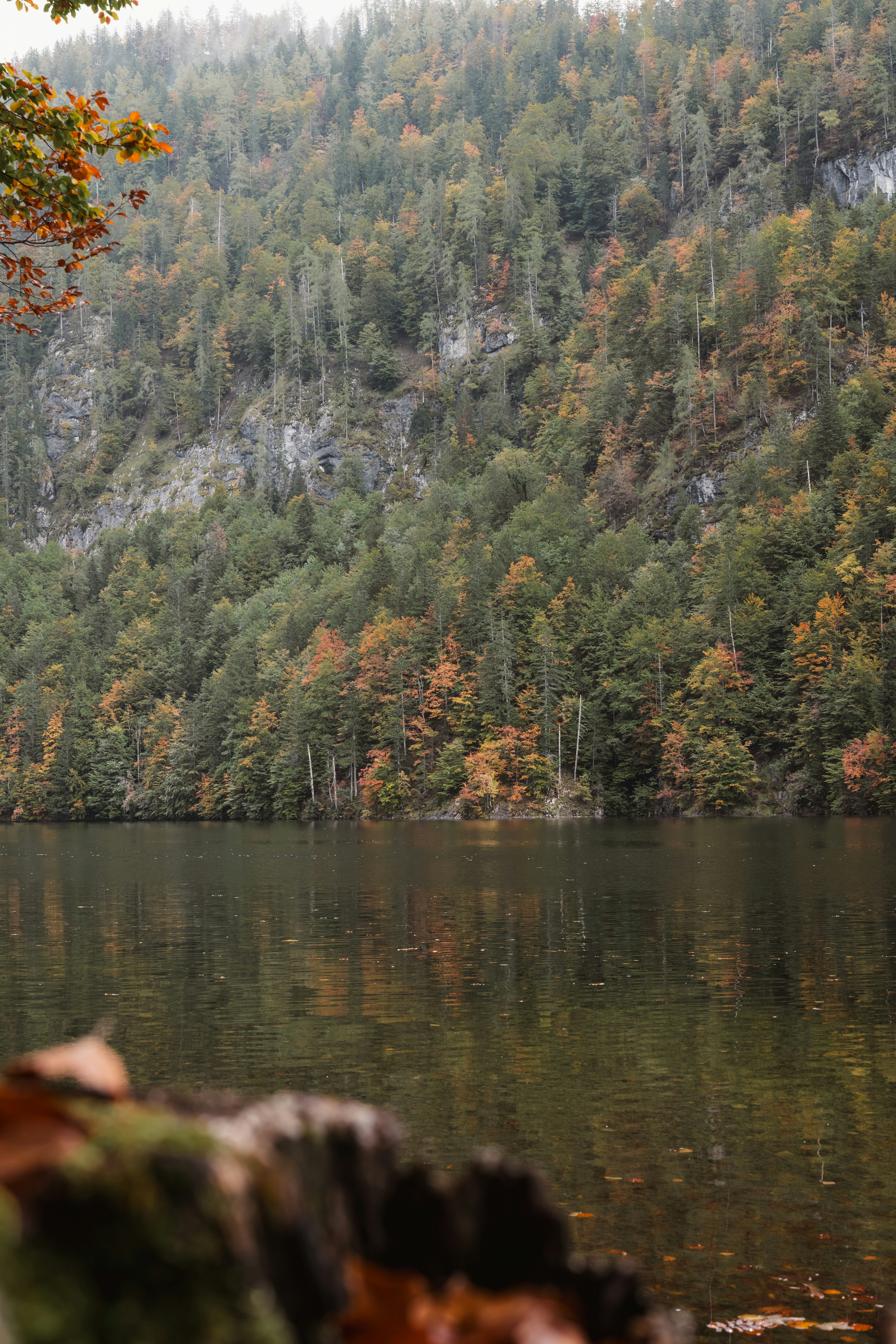 Photo by ahmetyuksek