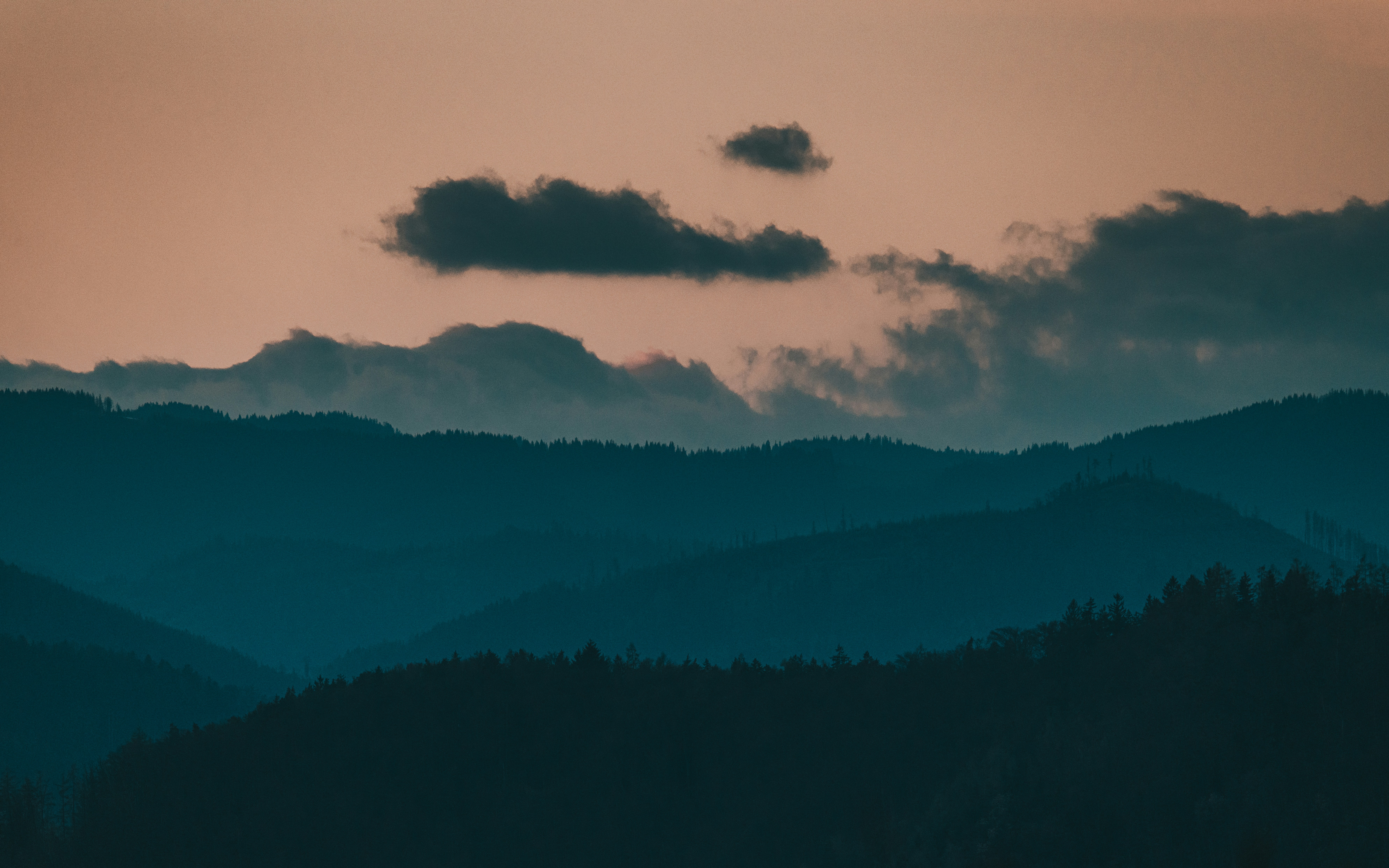 A calm and welcoming image for the contact page.