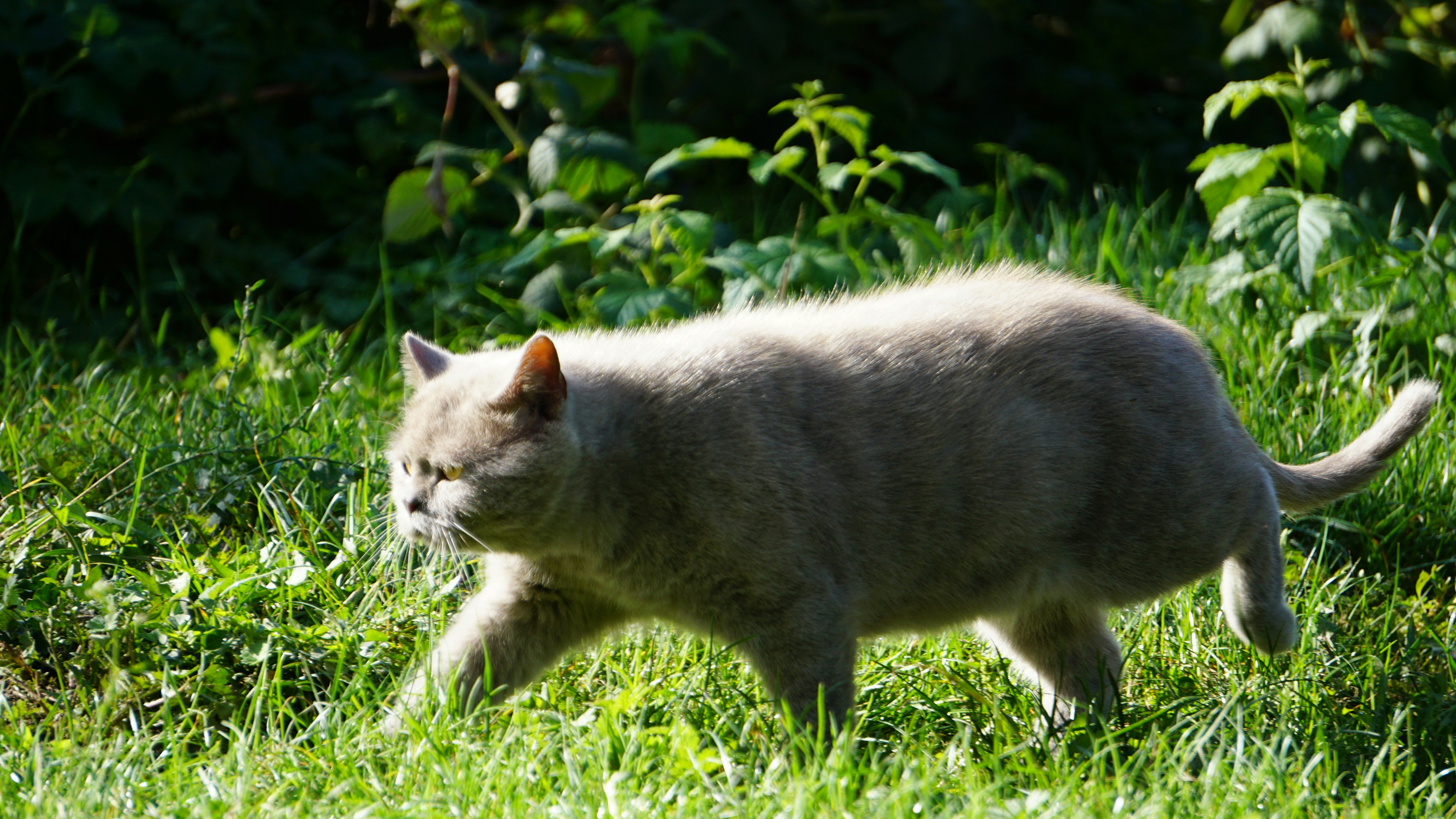 The Myth-Busting Health Reality (image credits: unsplash)