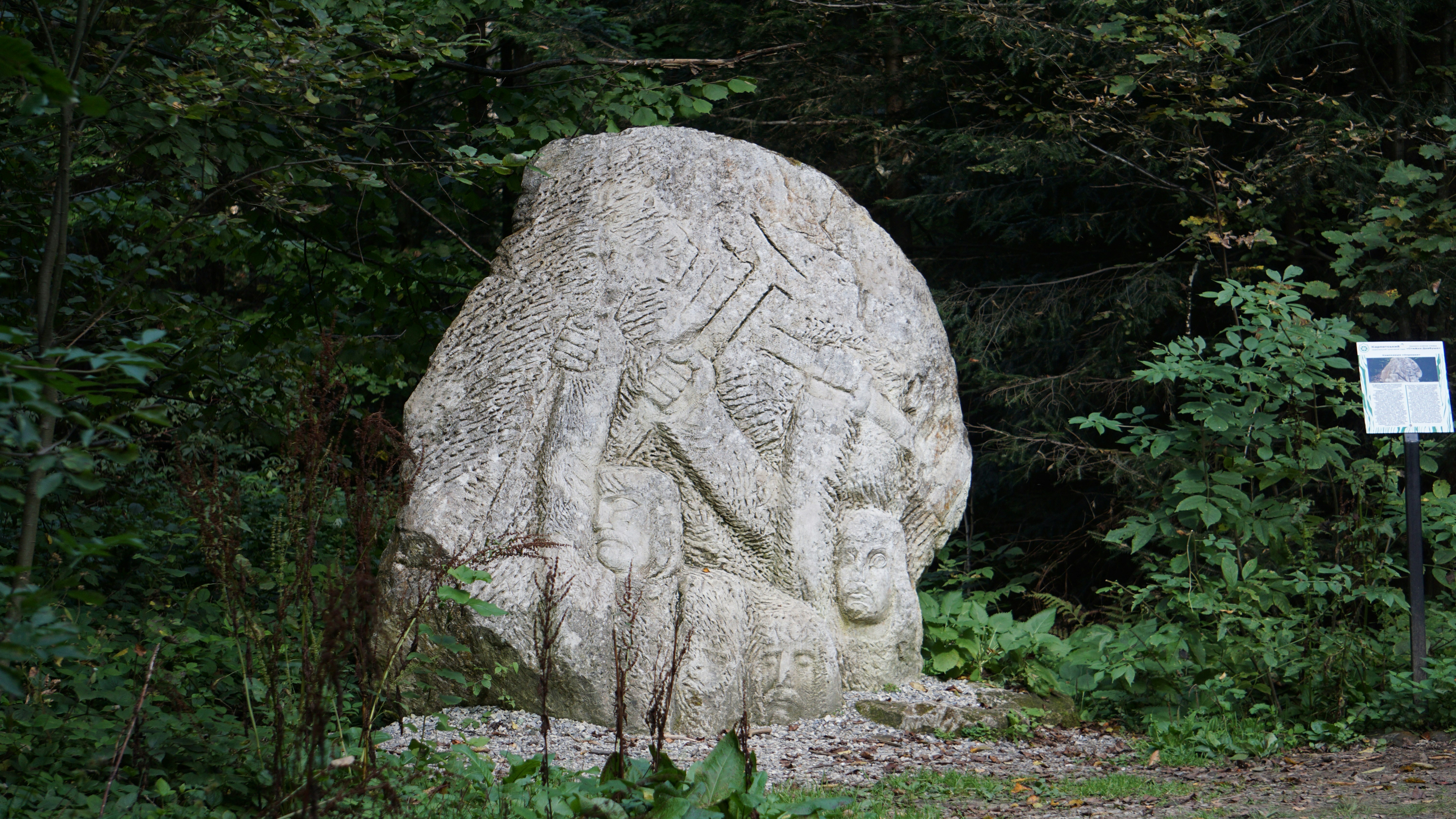 Un gros rocher au milieu d’une forêt