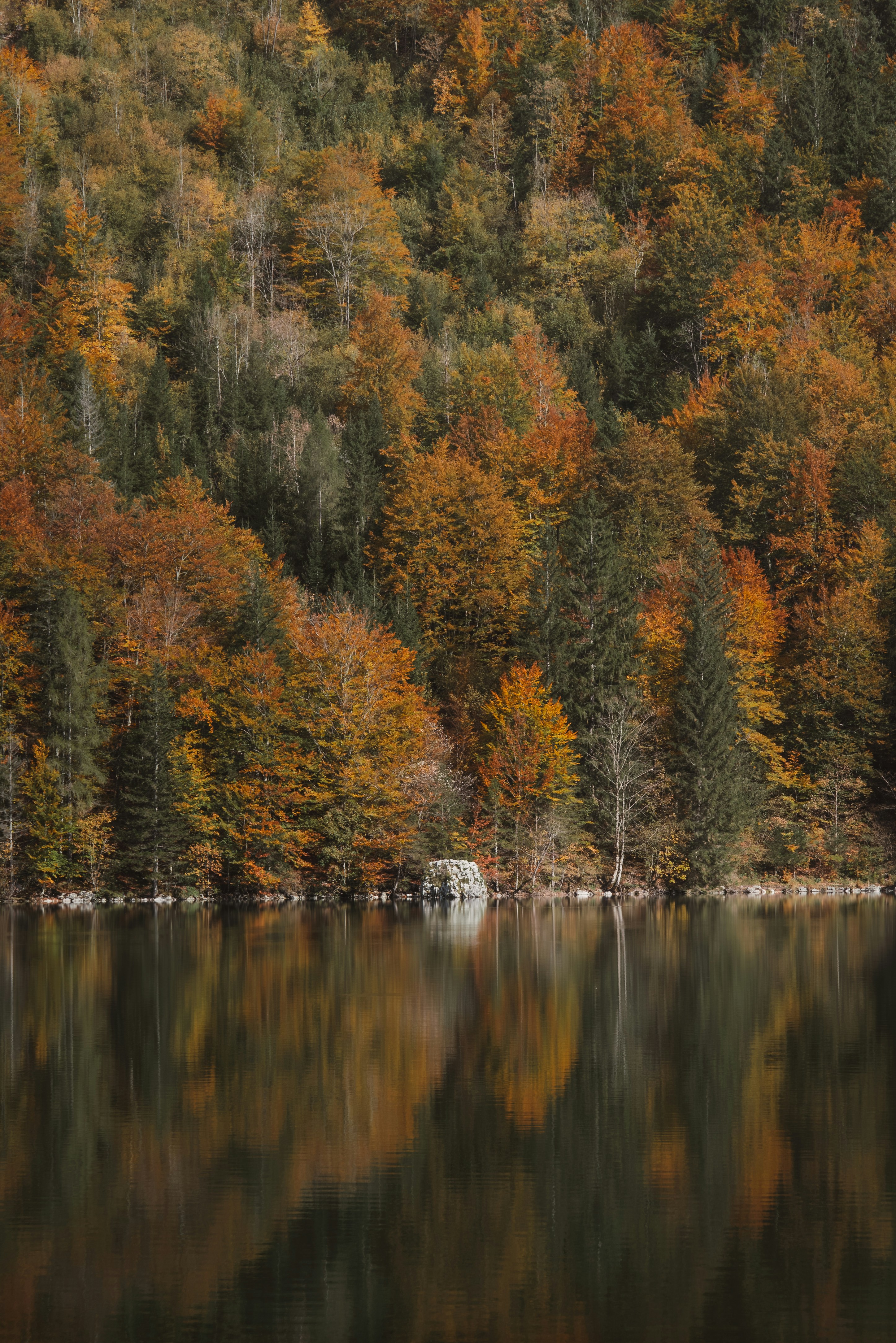 Photo by ahmetyuksek