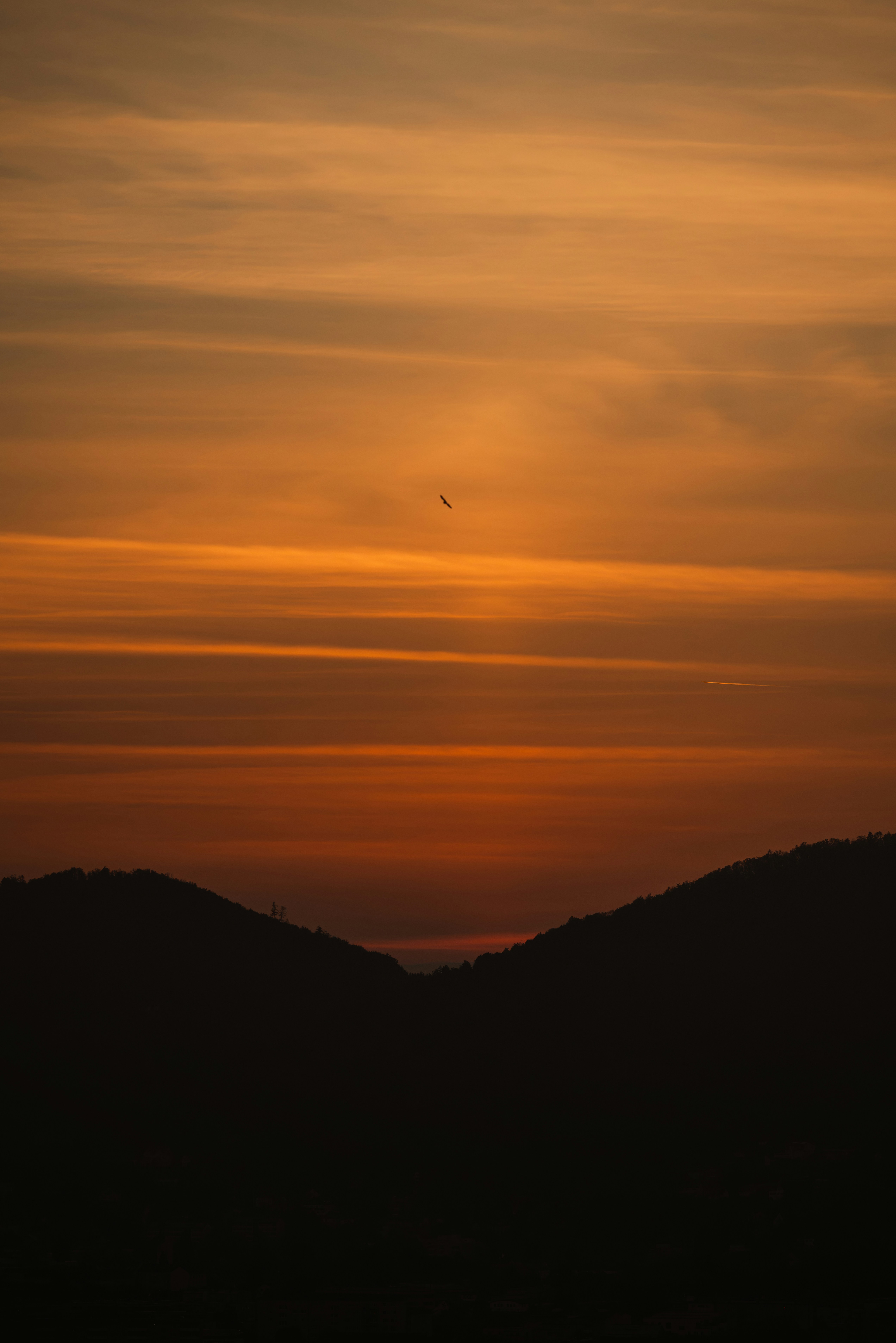 Photo by ahmetyuksek