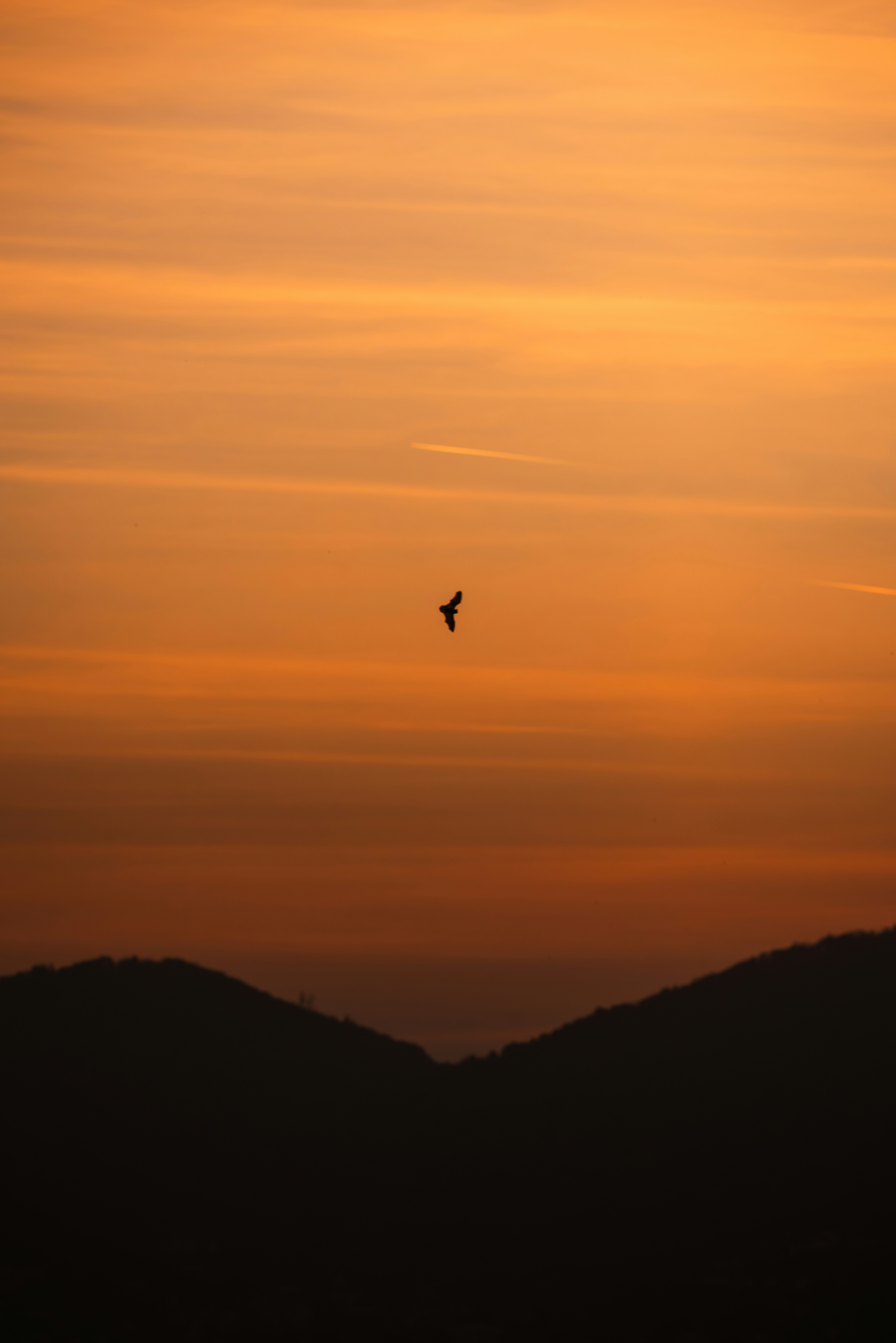 Photo by ahmetyuksek