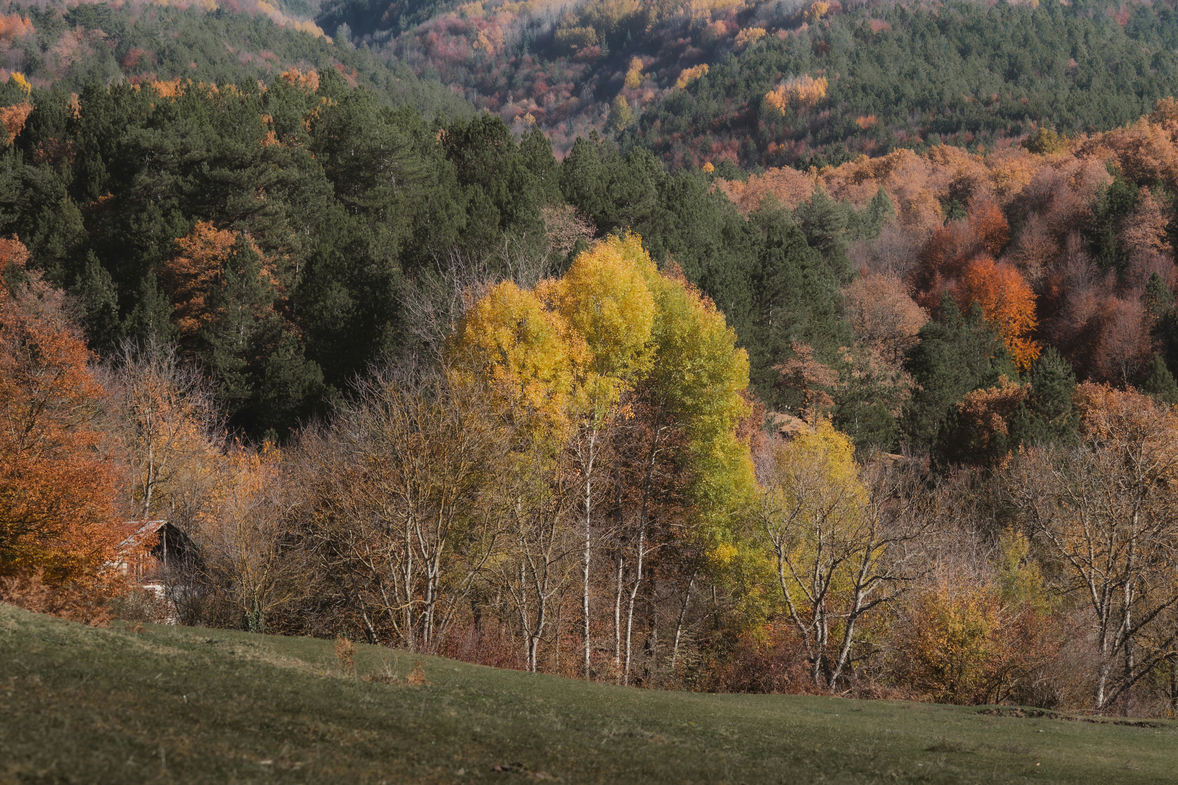 Photo by ahmetyuksek