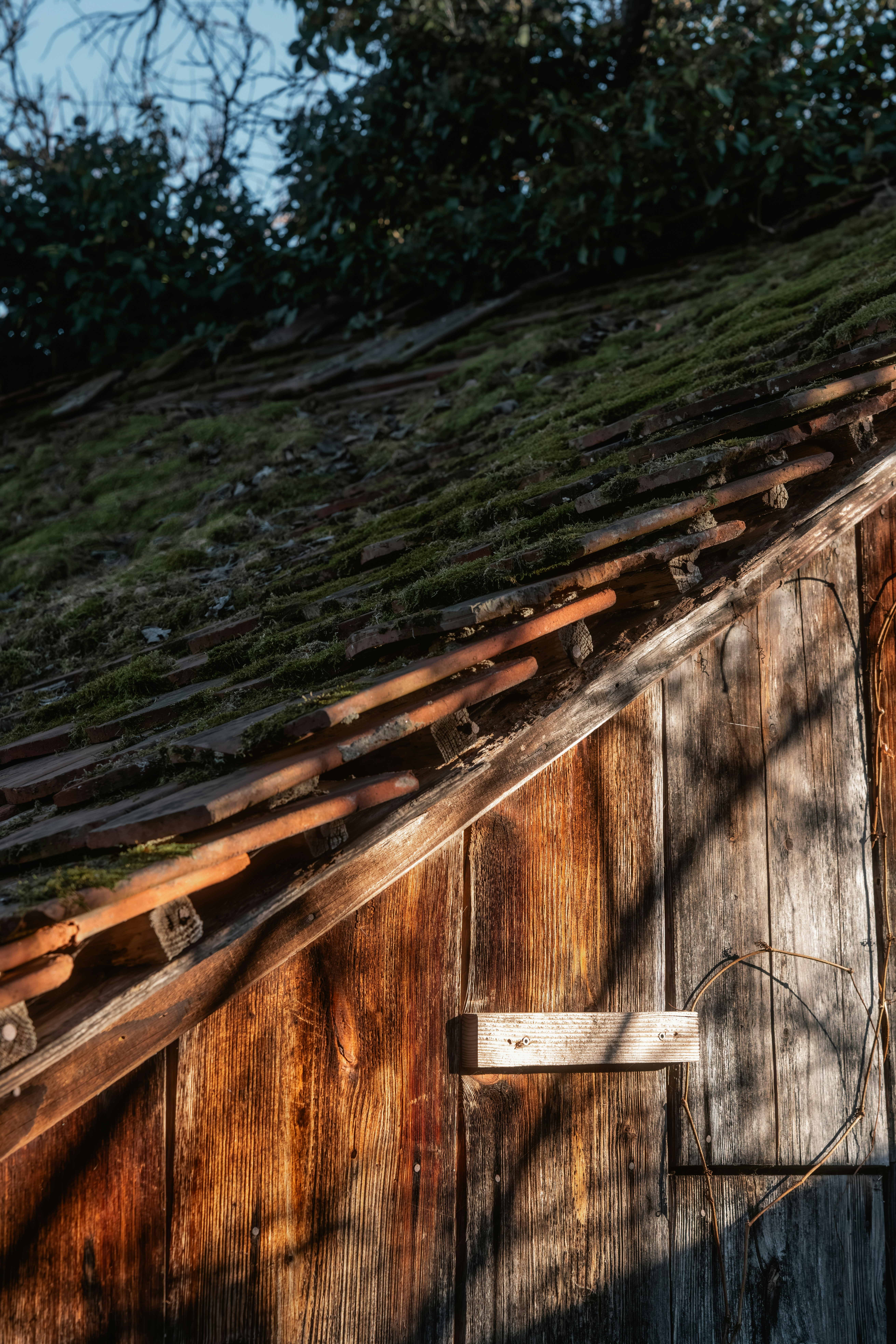 rustic cabin wallpaper, wallpaper, Home Security While Camping: Keep Your Property Safe 6