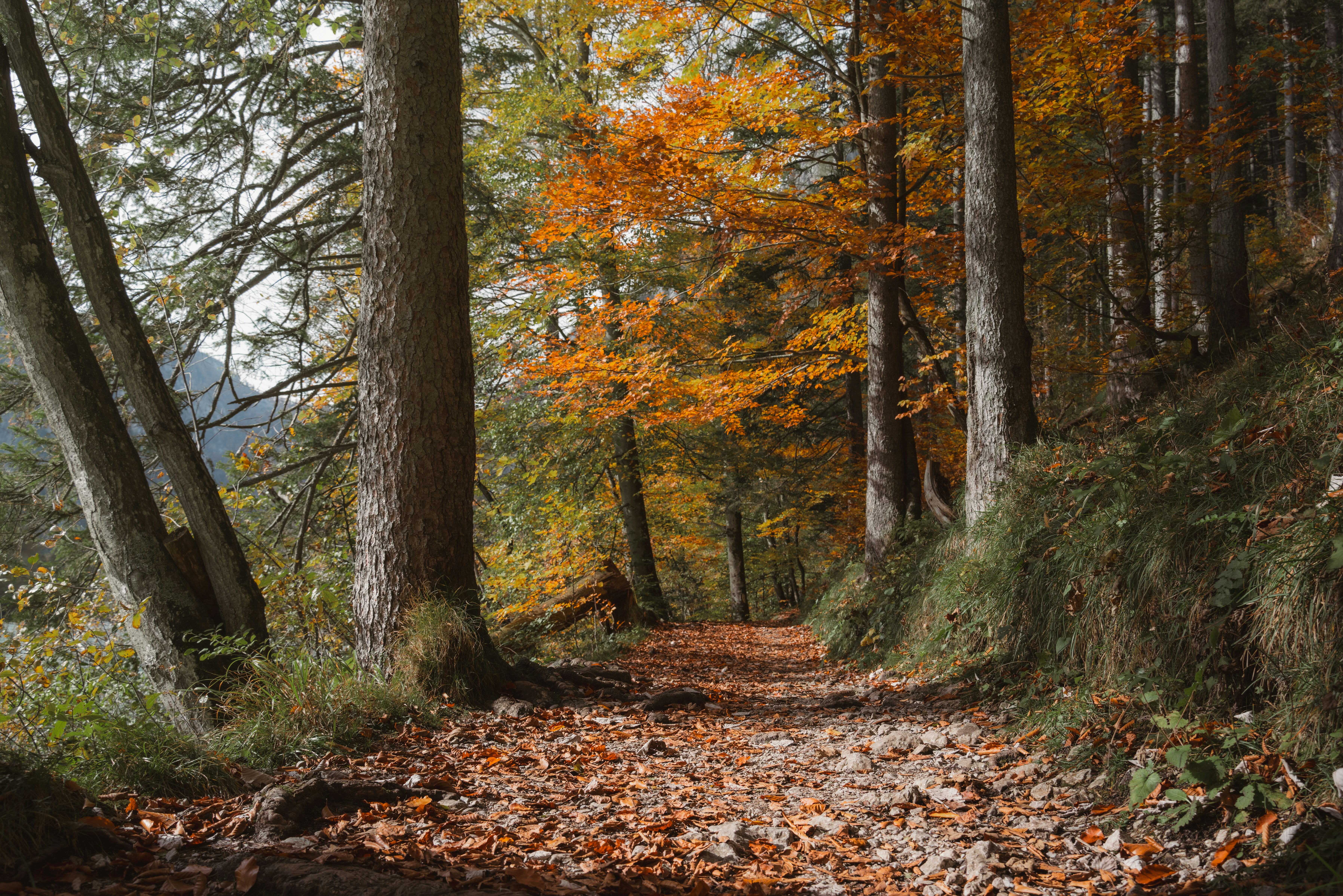 Photo by ahmetyuksek