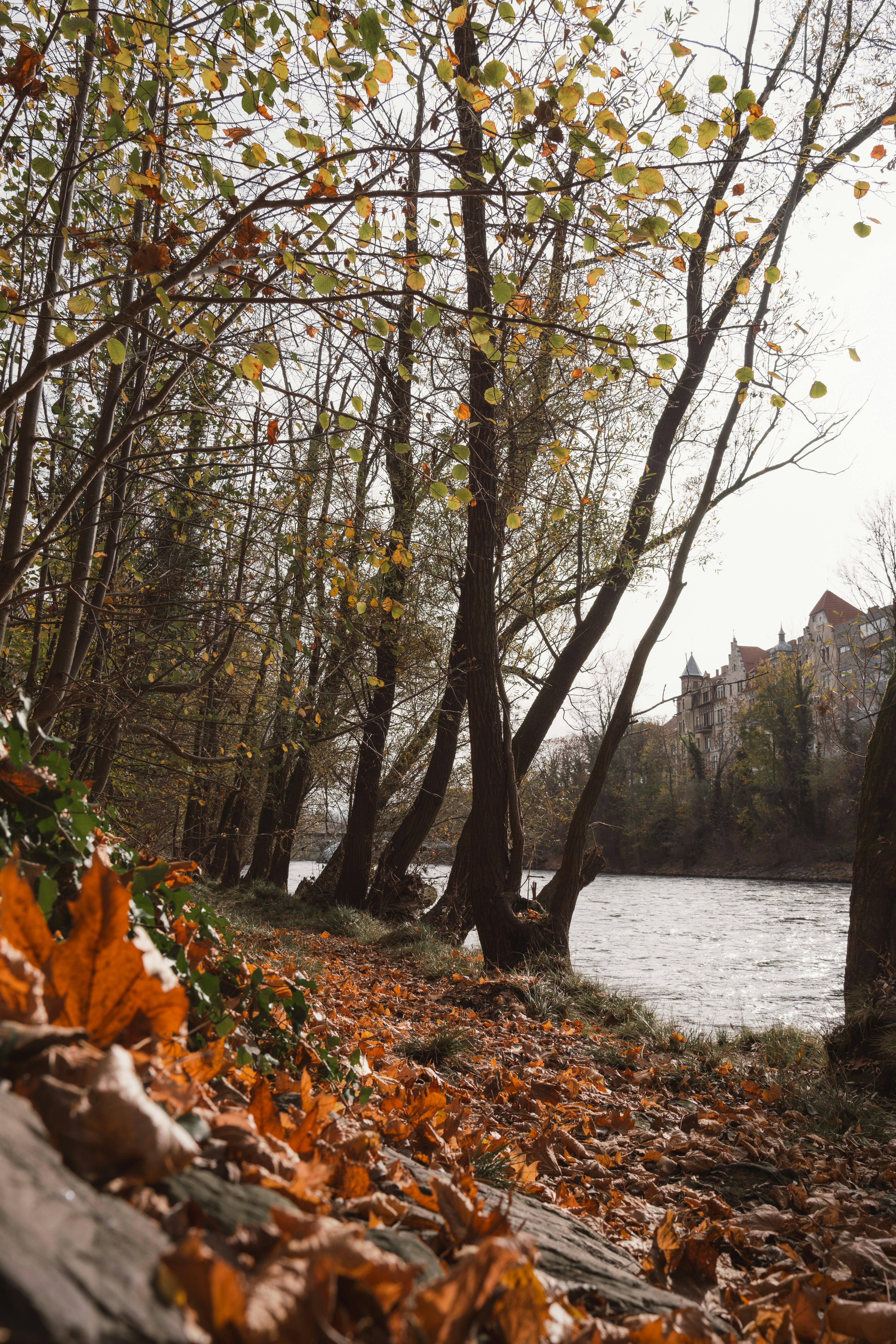 A river surrounded by trees and leaves in the fall photo – Free Pexels ...