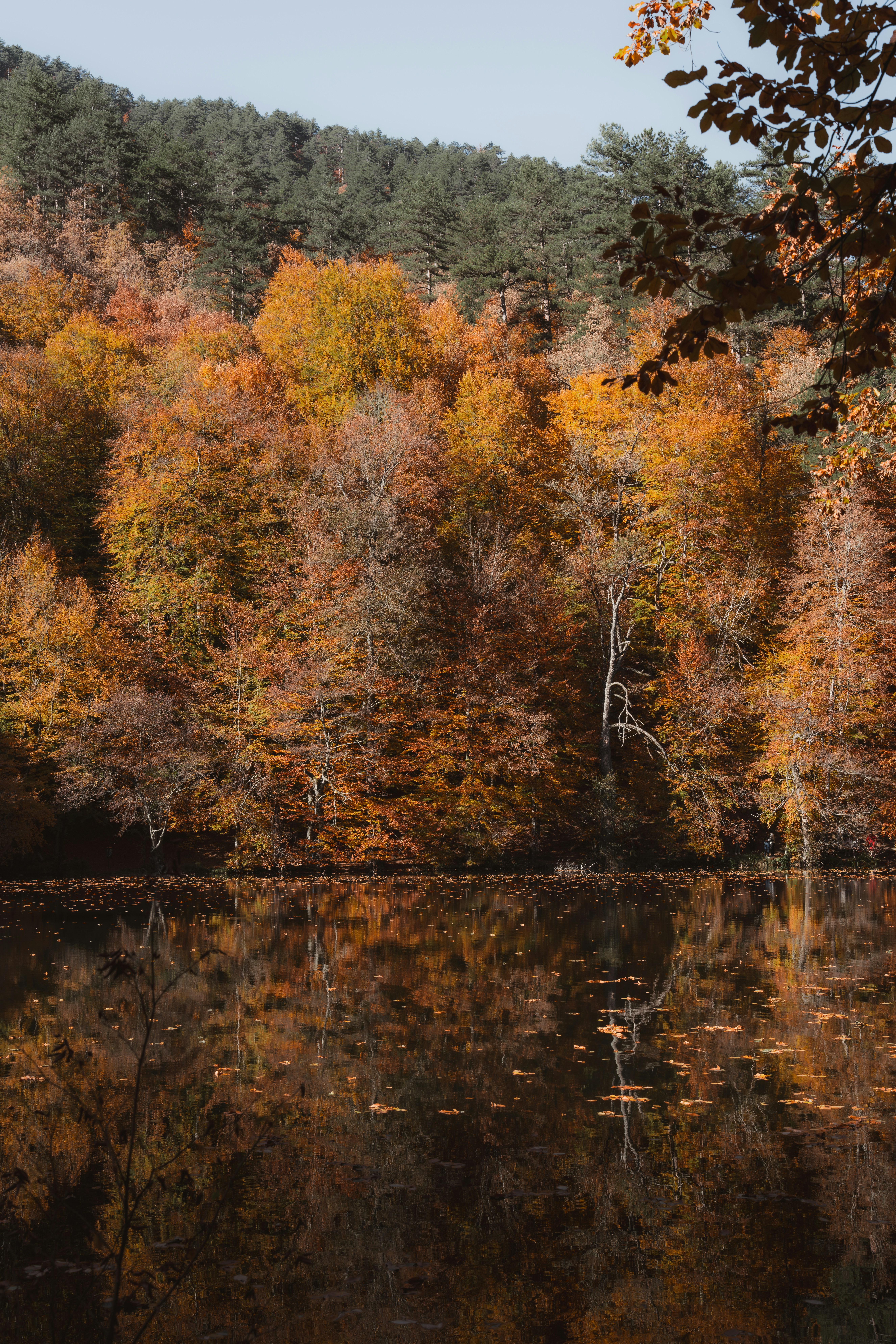 Photo by ahmetyuksek