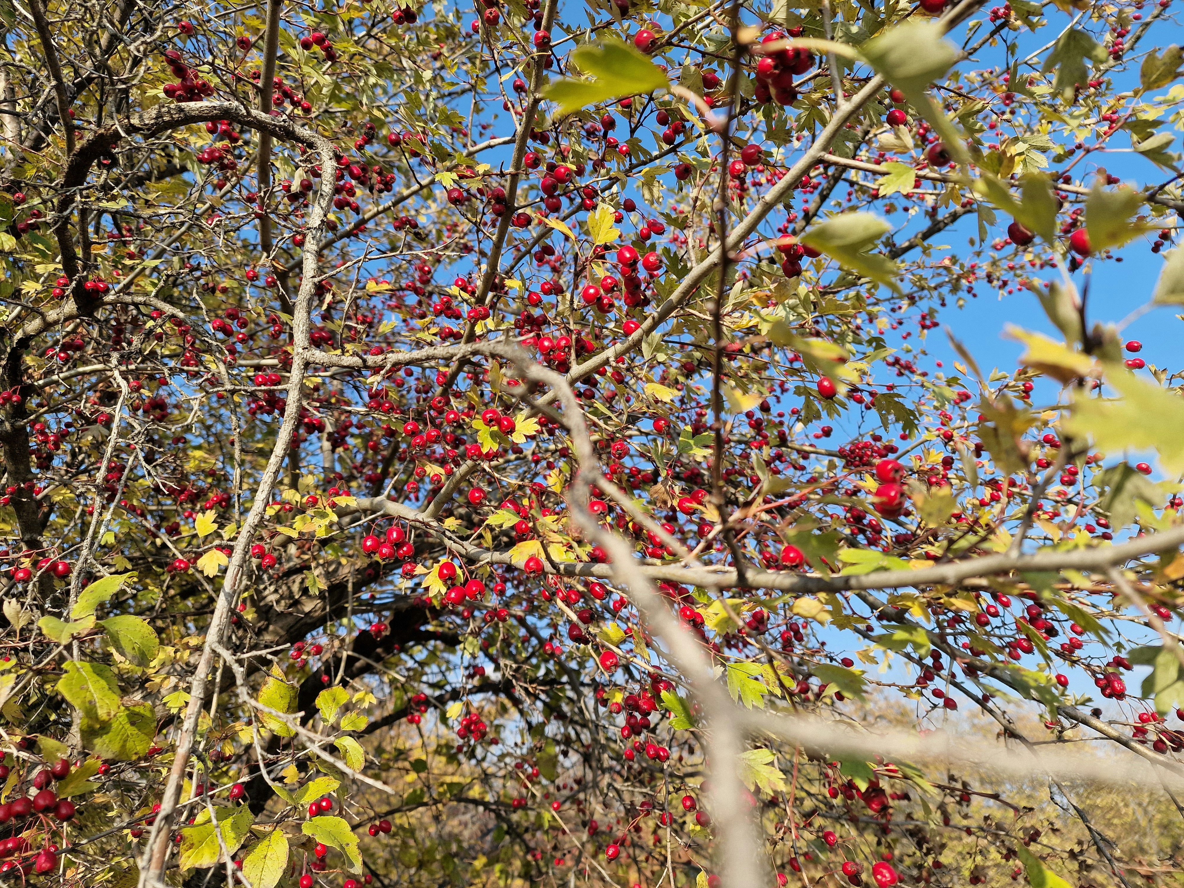 Photo by anastasius1985