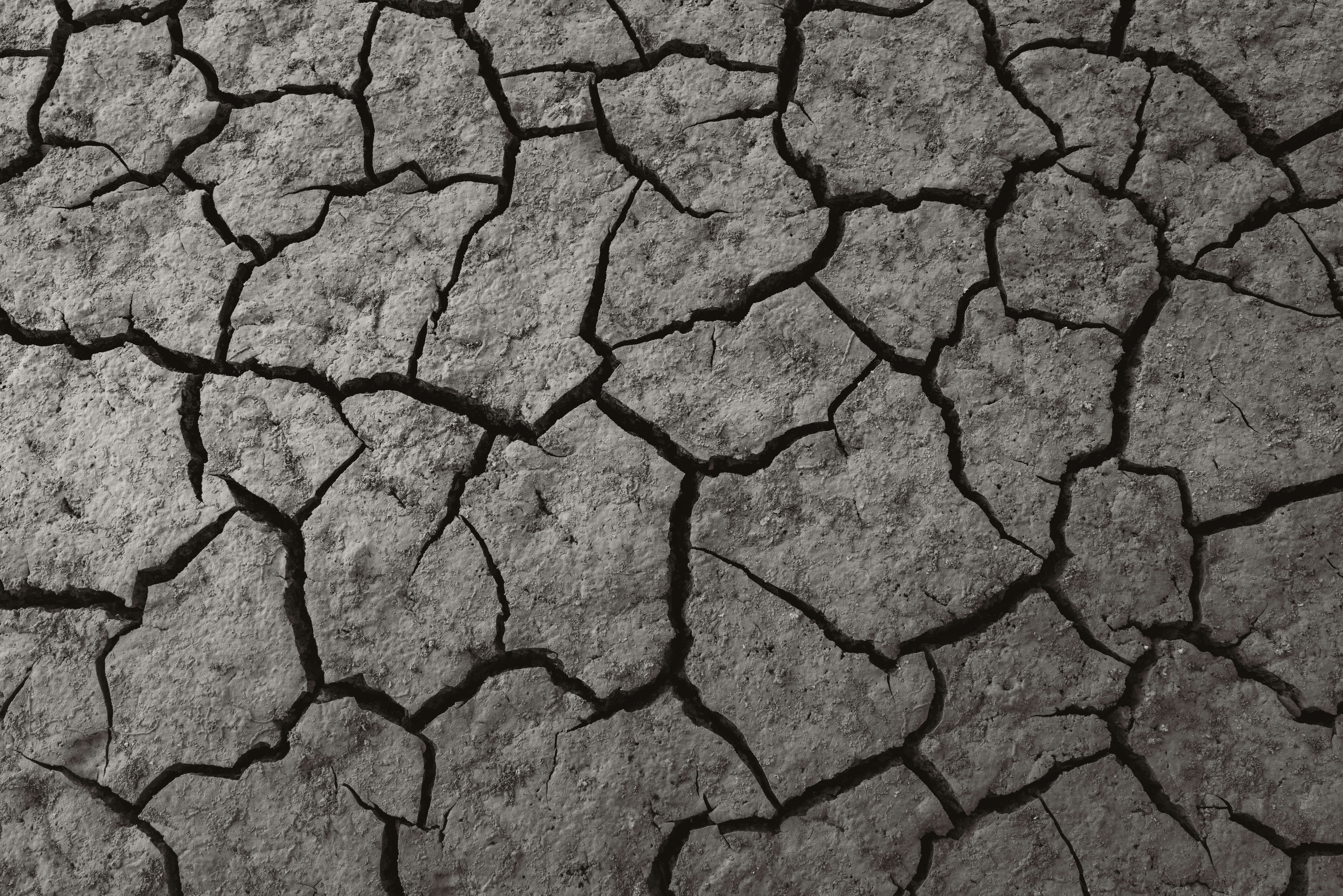 Photo by ahmetyuksek