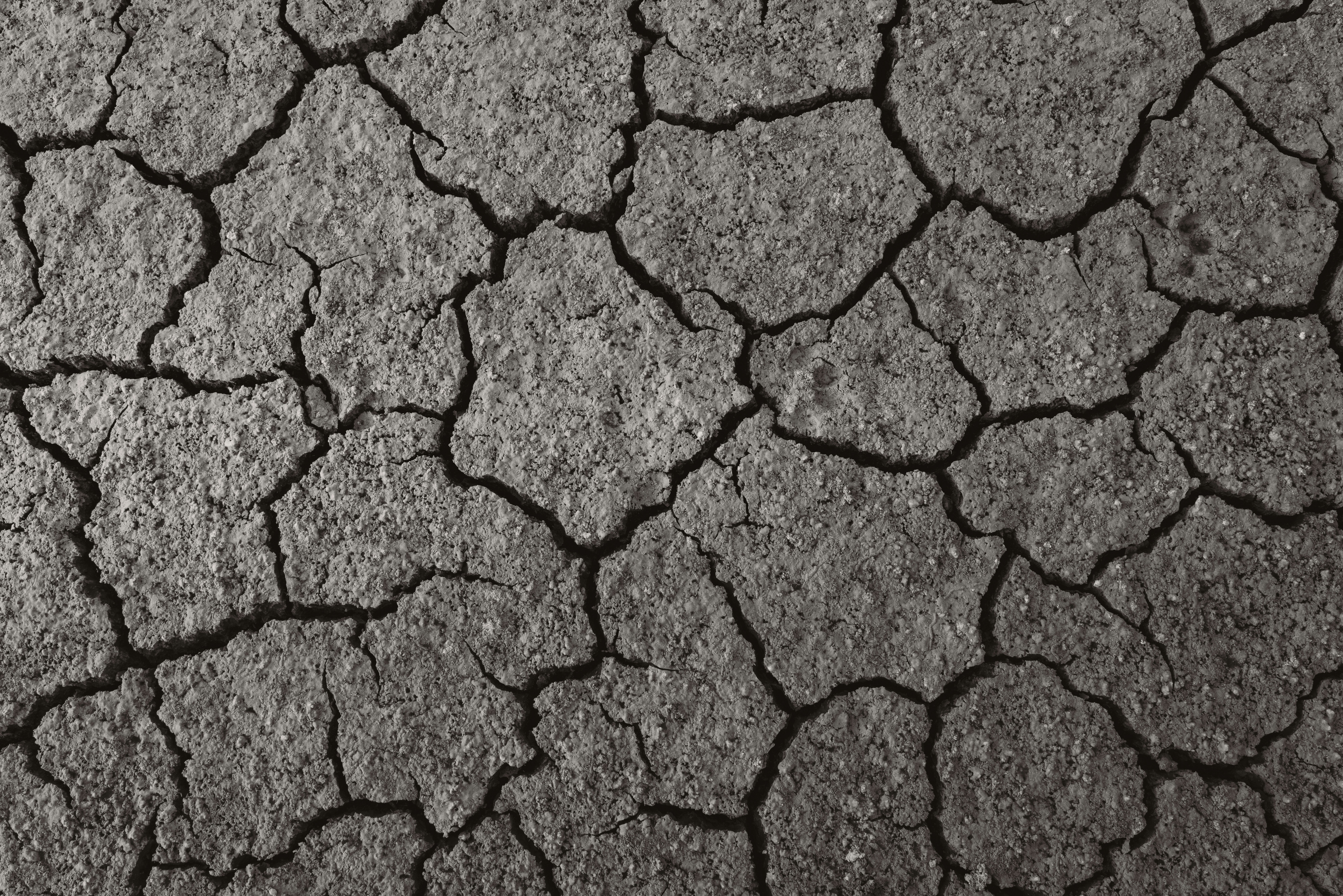 Photo by ahmetyuksek